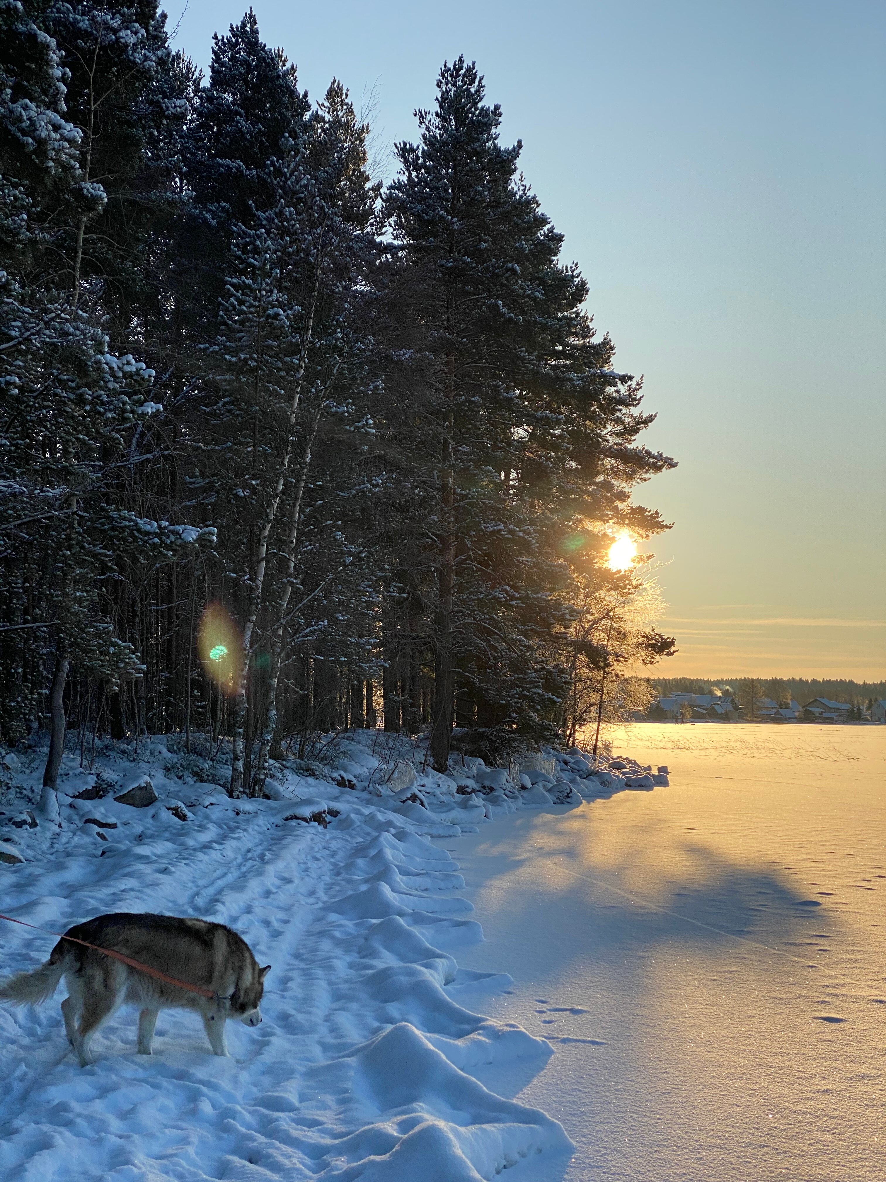 Фото Кангас