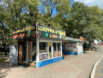 Шаурма и точка (Primorye Territory, Nakhodka, Nakhodkinskiy Avenue), fast food