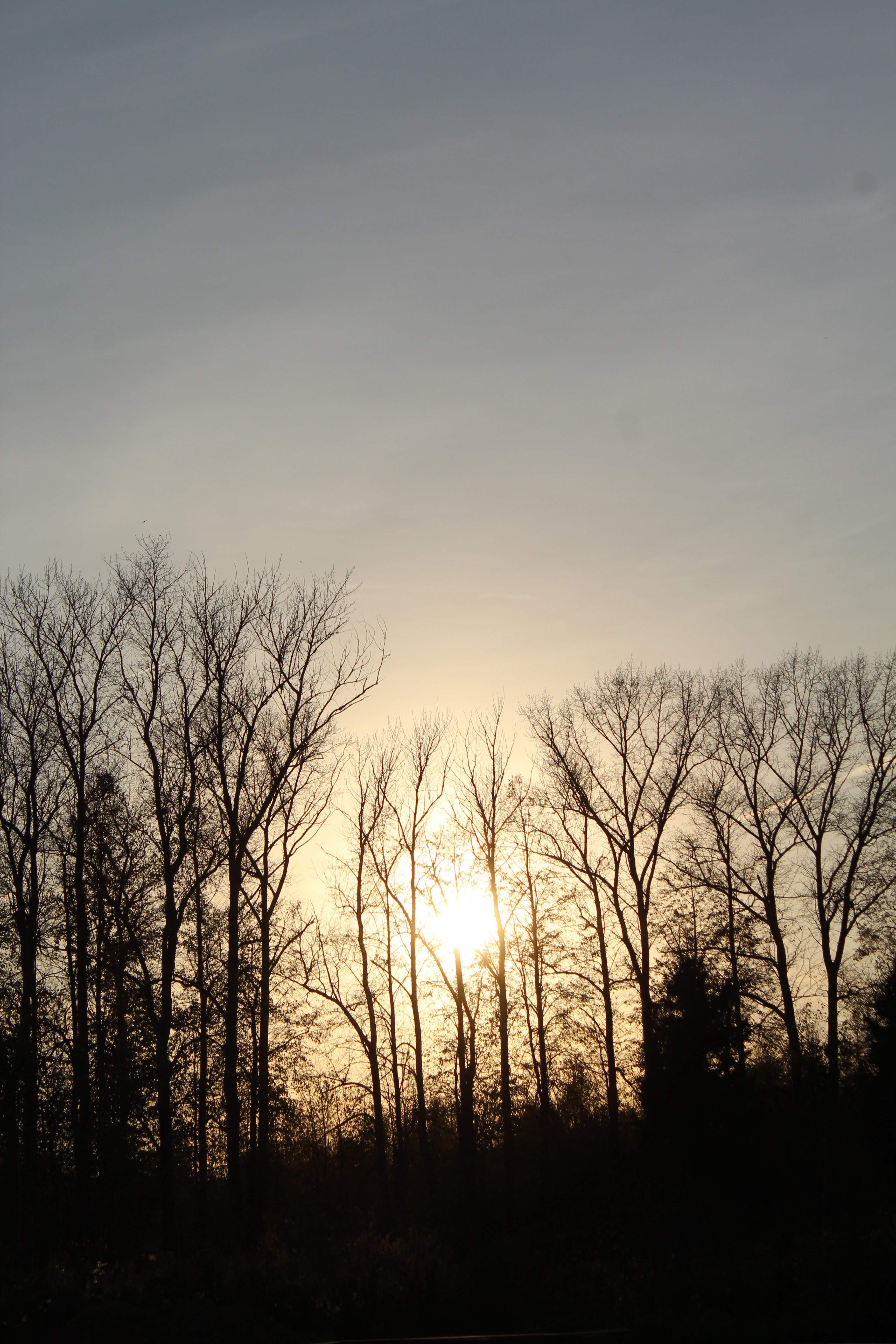 Фото ДИПДача