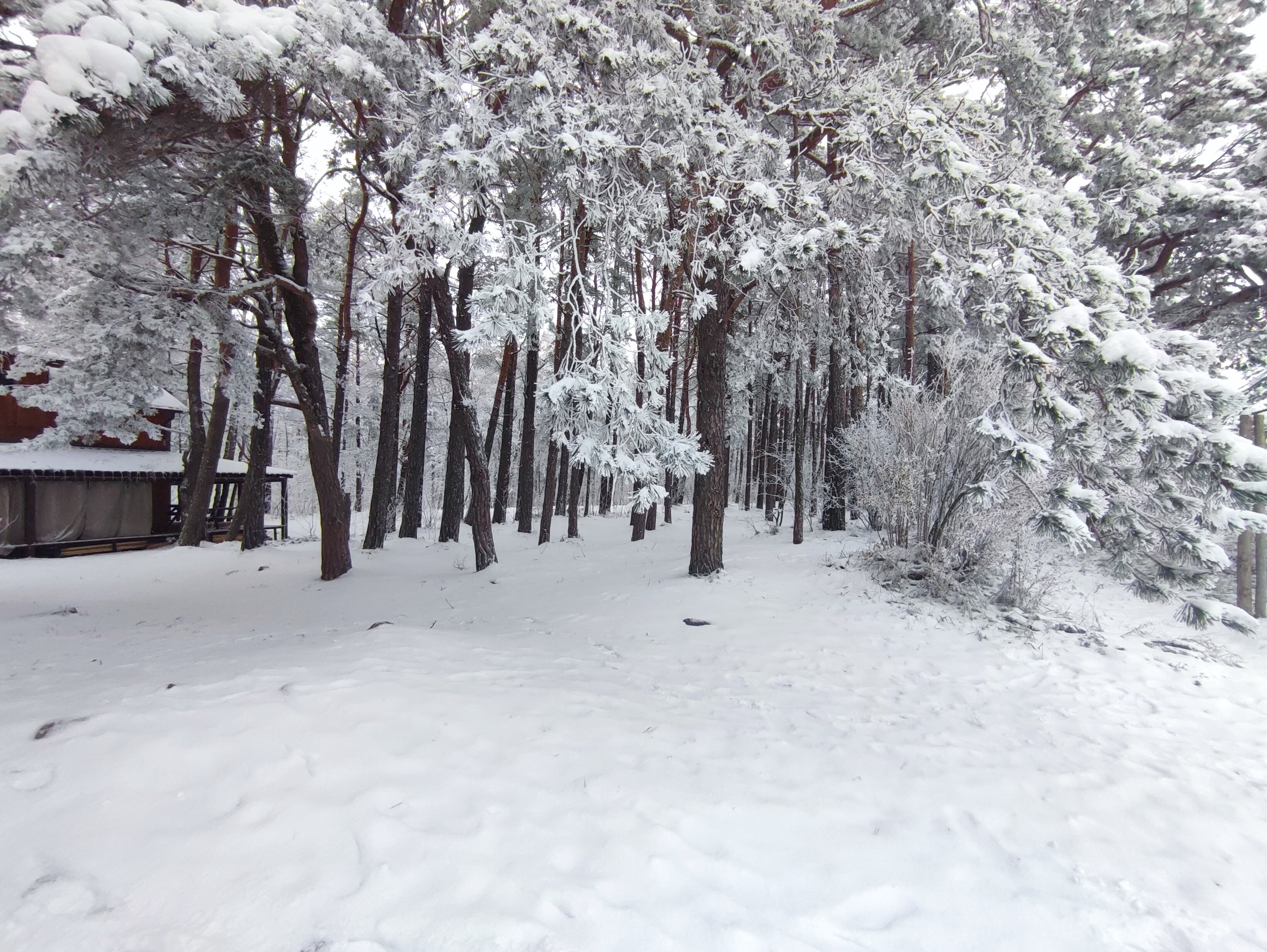 Фото Куршале