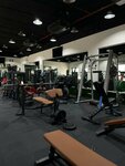 Titanium Fitness, body building club (10/20, 1st Street, Bella Casa, Wadi Al Safa 7, Wadi Al Safa, Dubai Land, Dubai), sports hall, gym