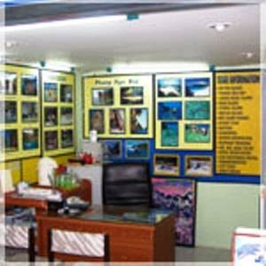 Фото Green Island Guesthouse