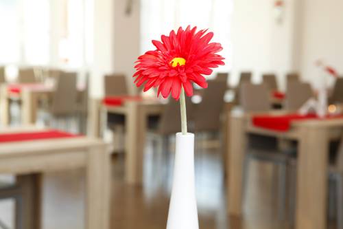 Фото Hotel Richter