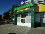 Газеты-журналы (ulitsa Kurchatova, 11/1), punto de venta de prensa