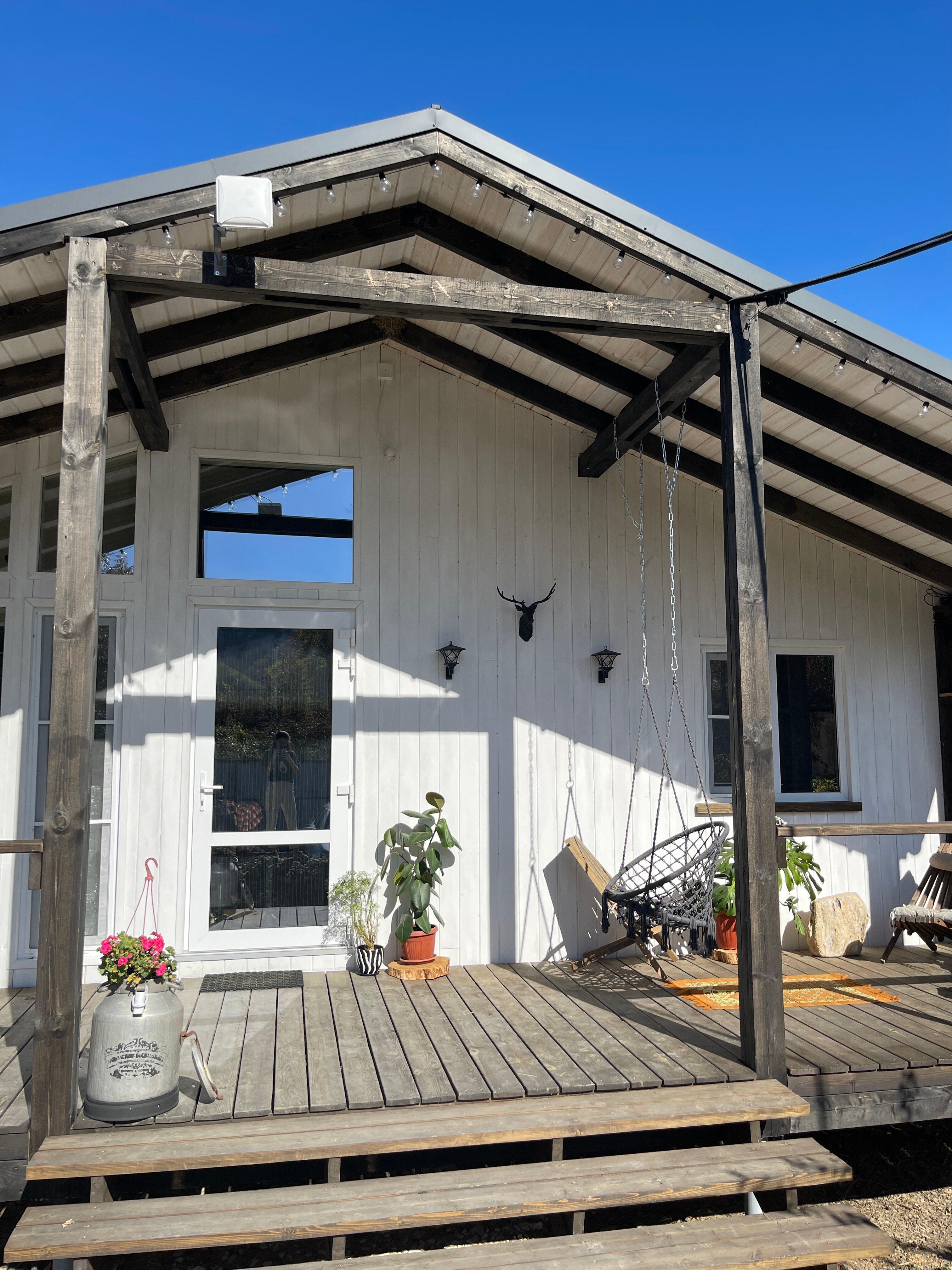 Фото Секвойя