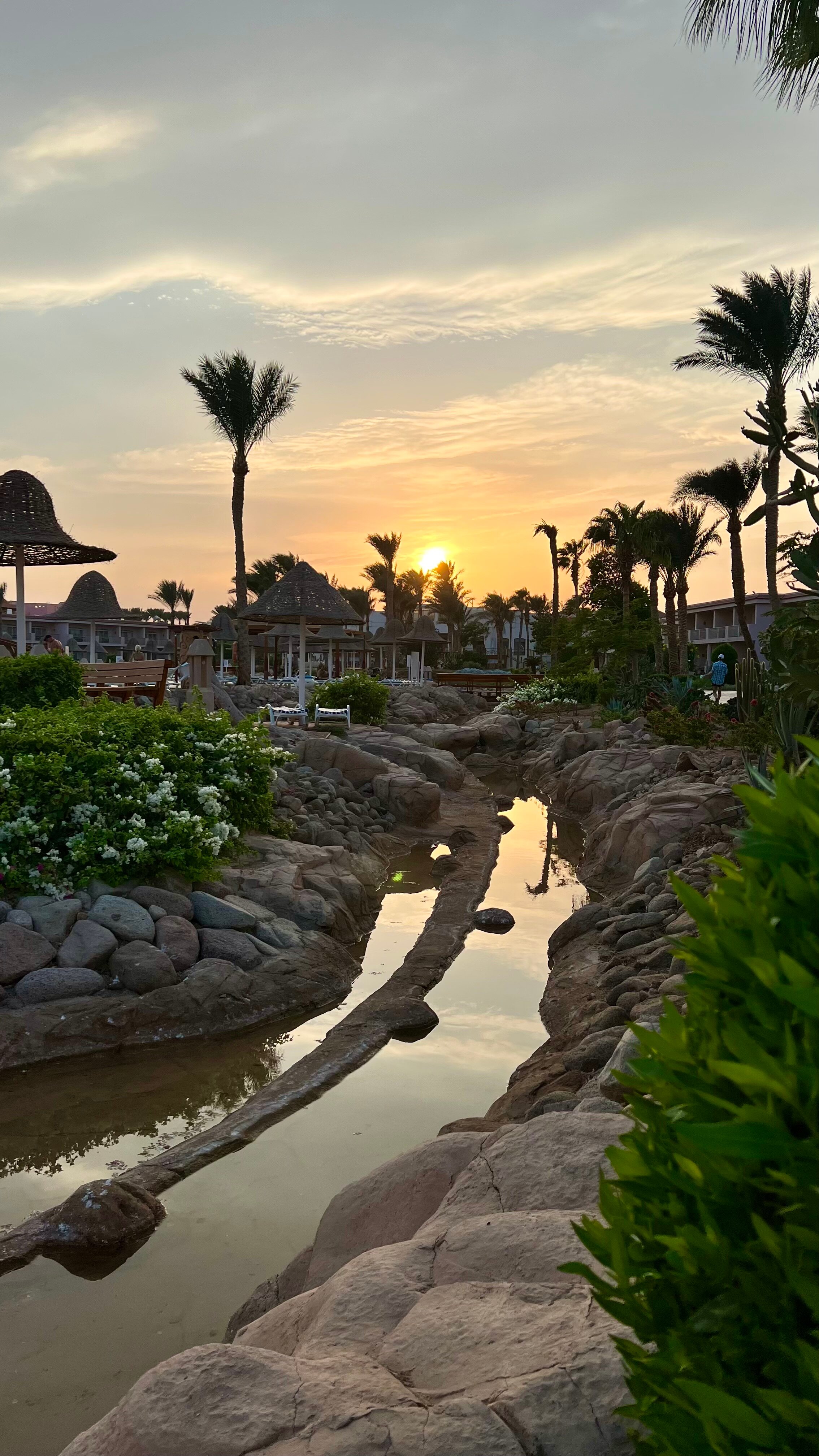 Фото Parrotel Beach Resort