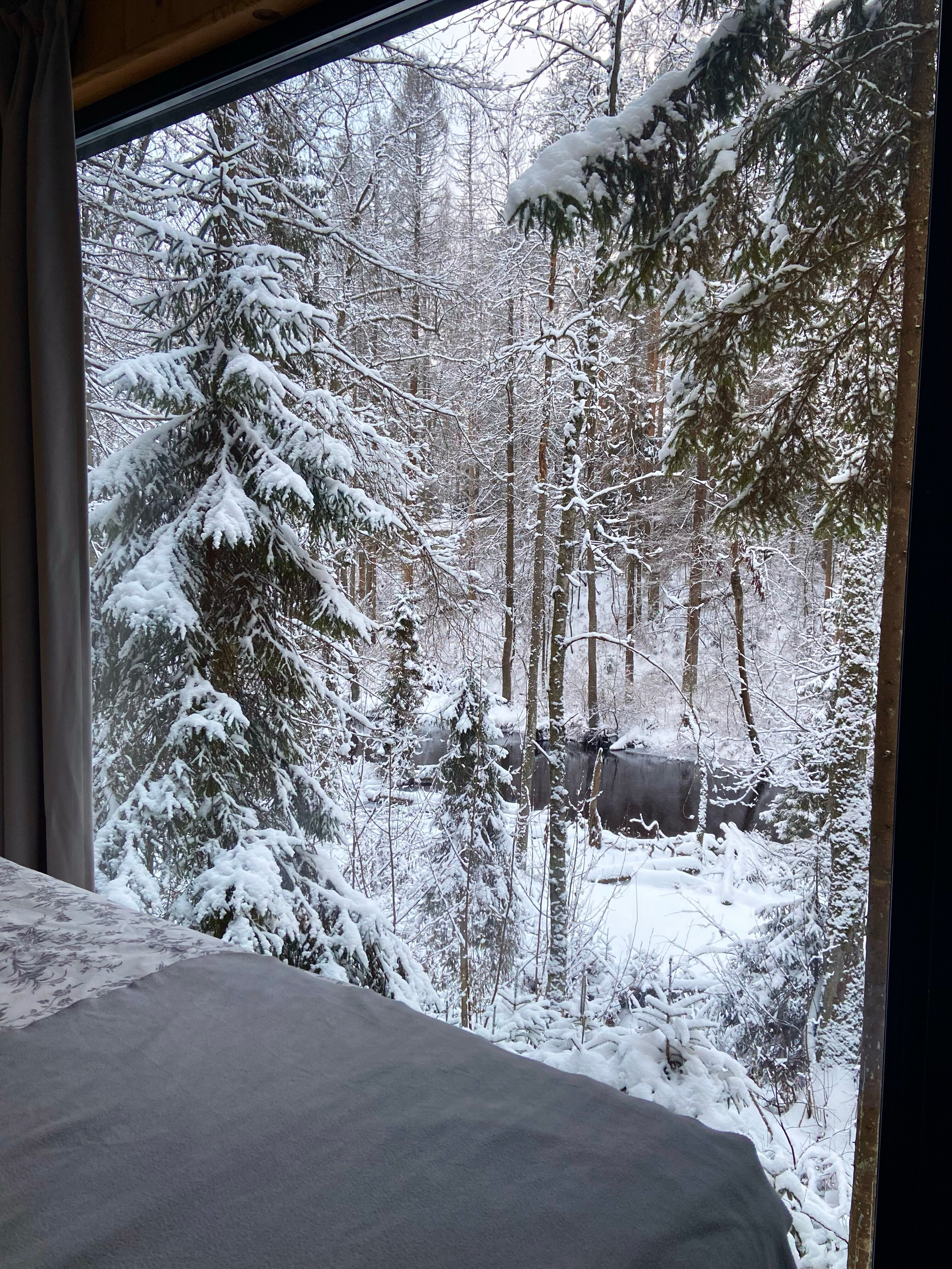 Фото Гринвальд Парк Скандинавия