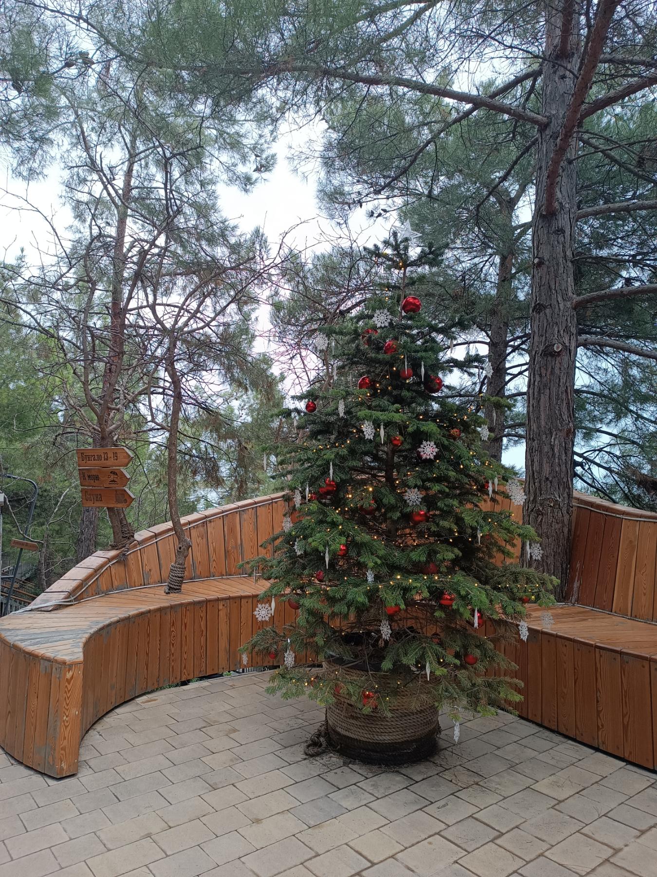 Фото Бунгало Билл