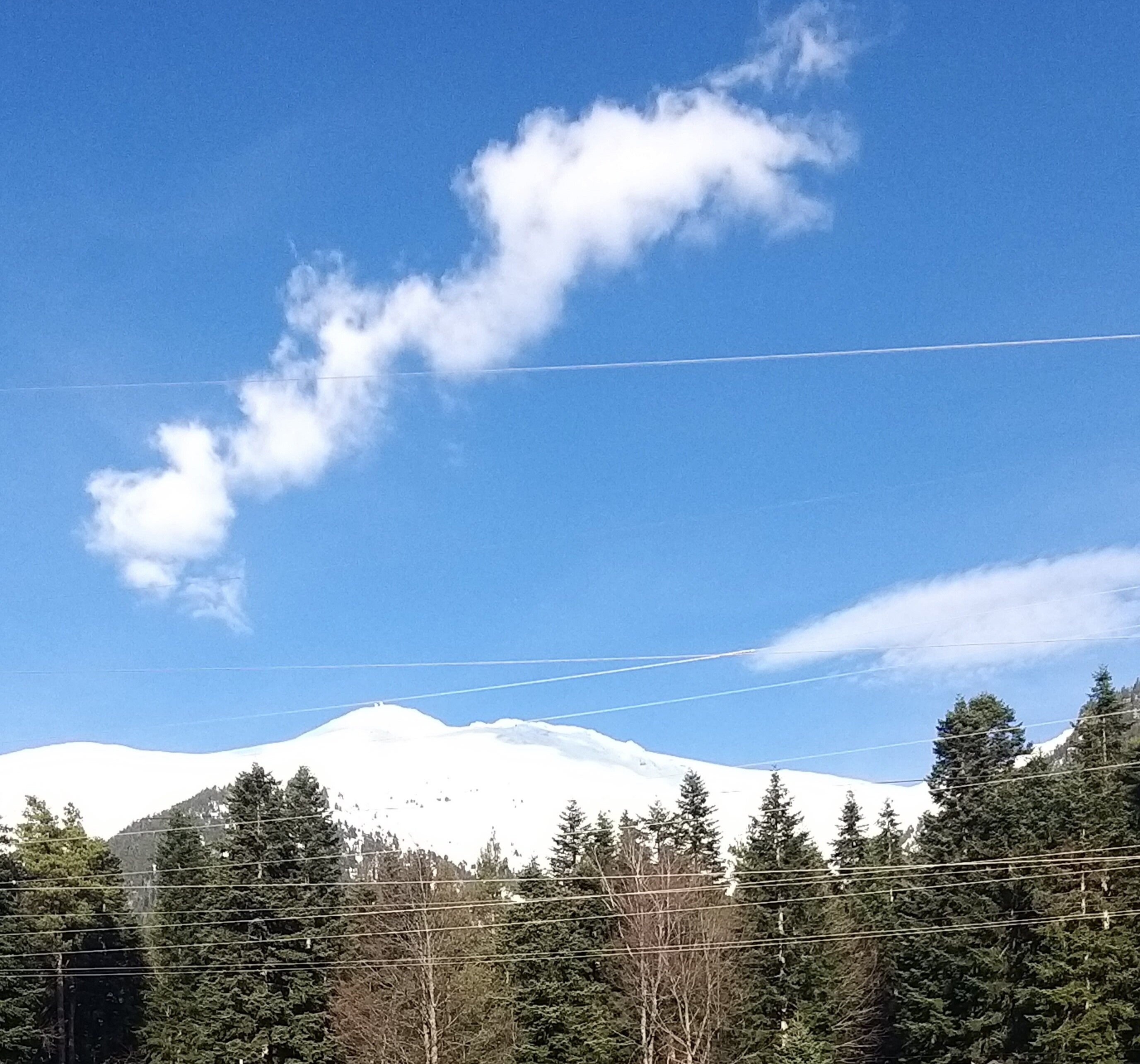 Фото Тур-домики Поляна Зубров