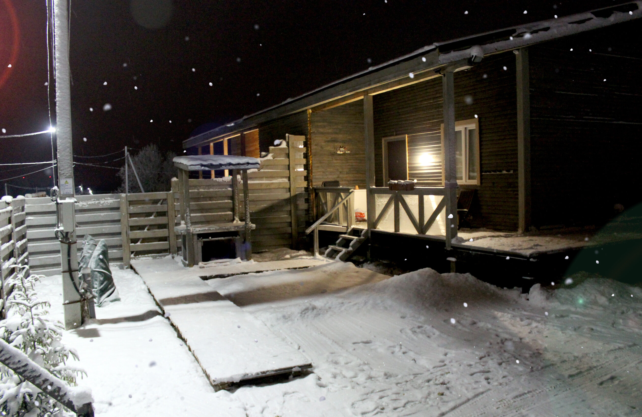 Фото Гнездо