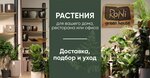 Roni Green House (Pokrovskoye Village, Tsentralnaya Street, 33к6), flower shop