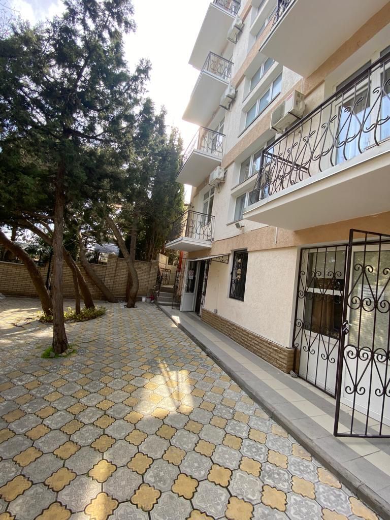 Фото Розмарин