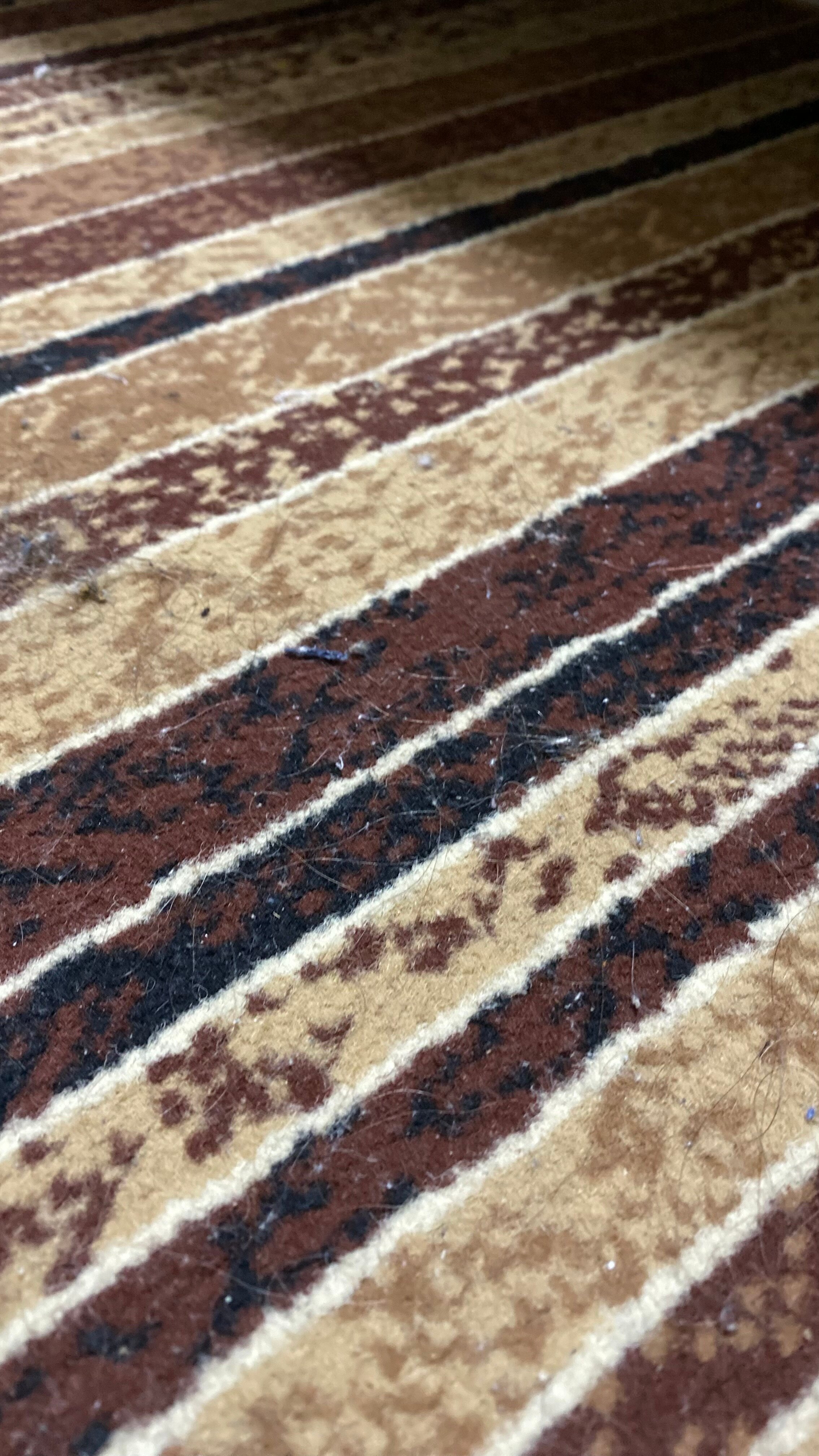 Фото Ханака на 1 я улица Энтузиастов 12А