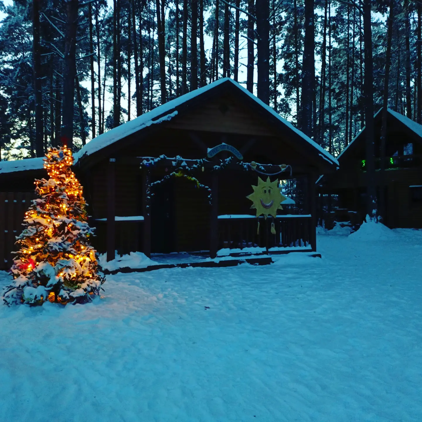 Фото Брусника