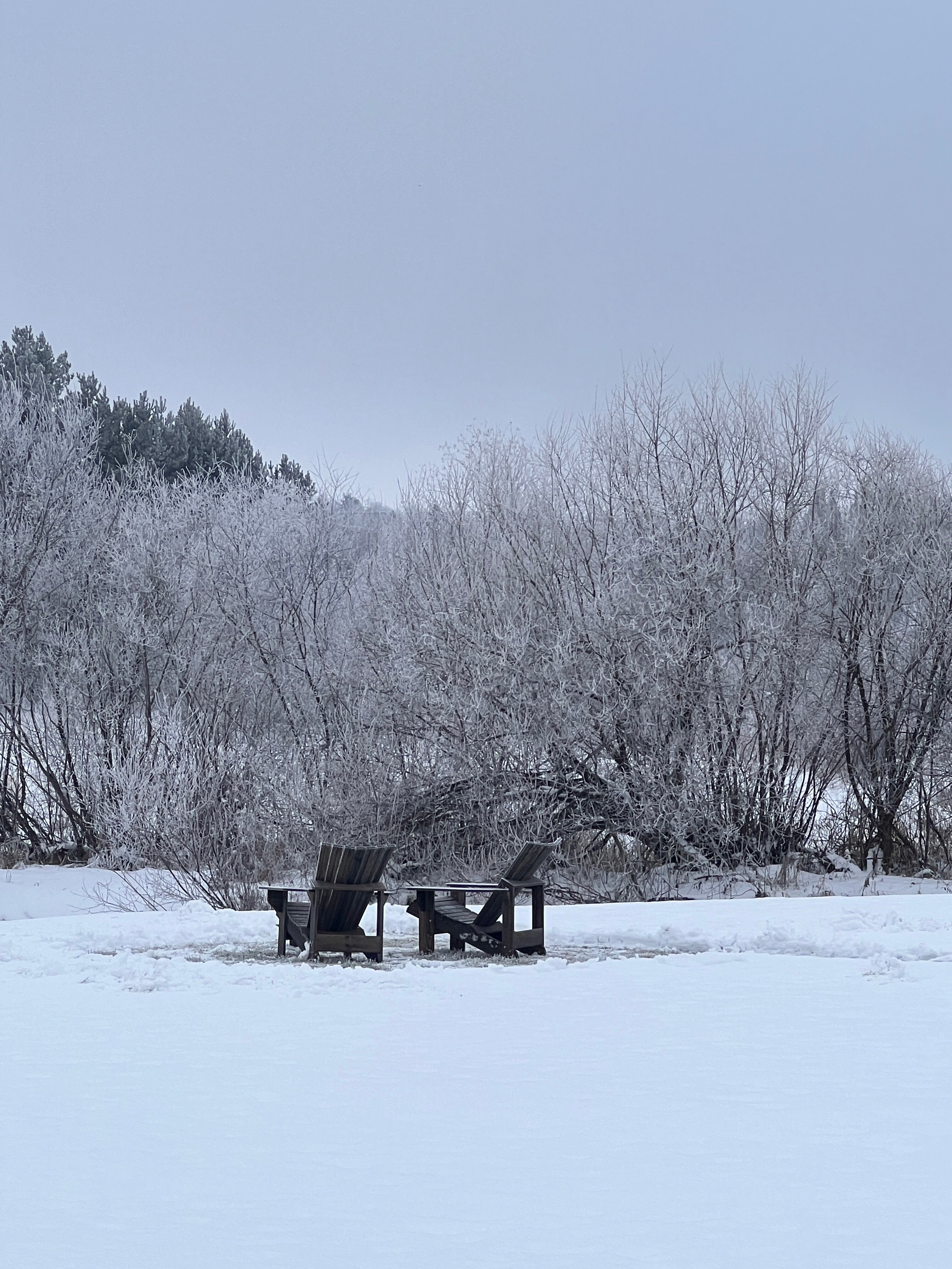 Фото Nirvana Home