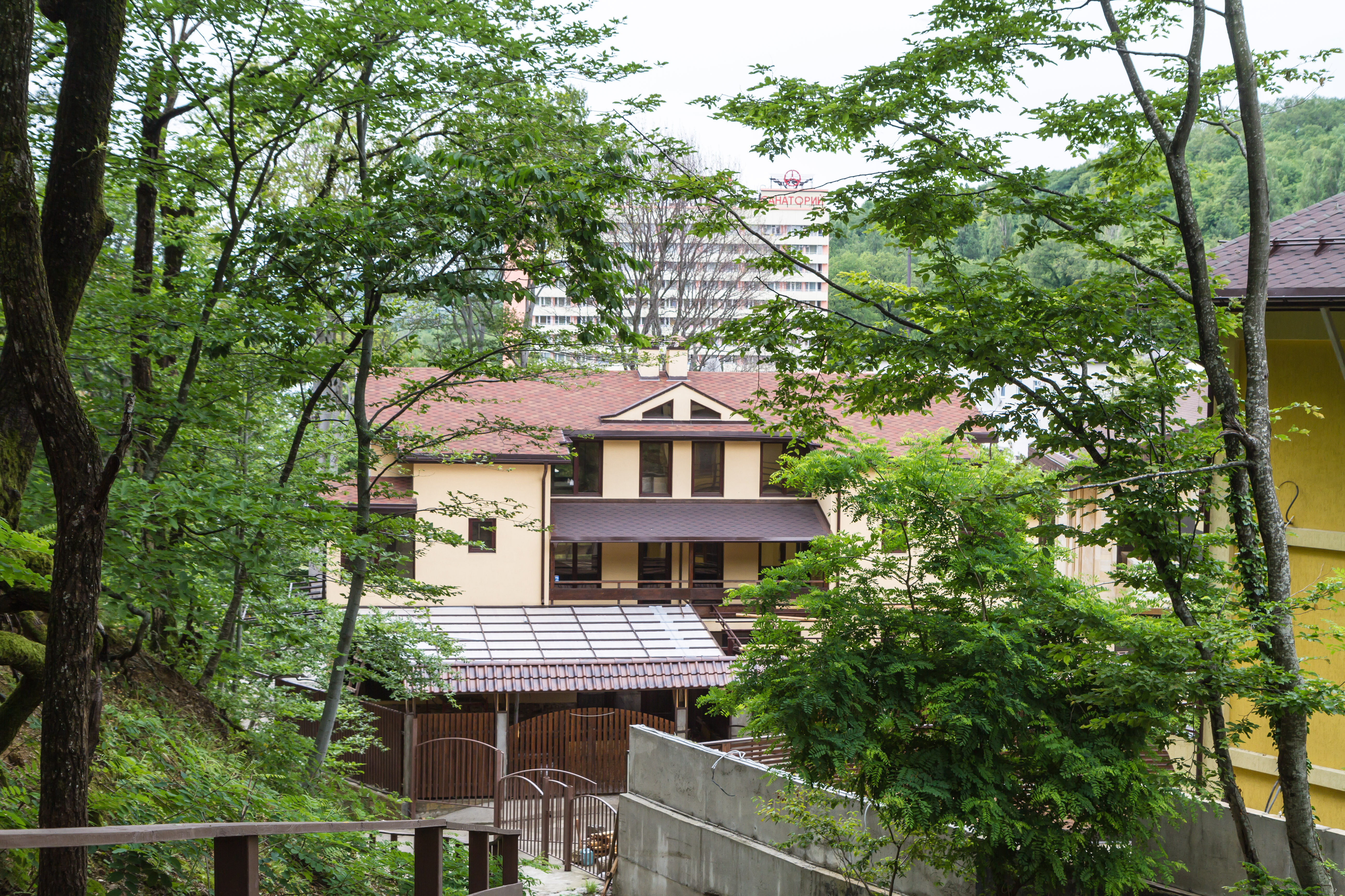 Фото Калипсо