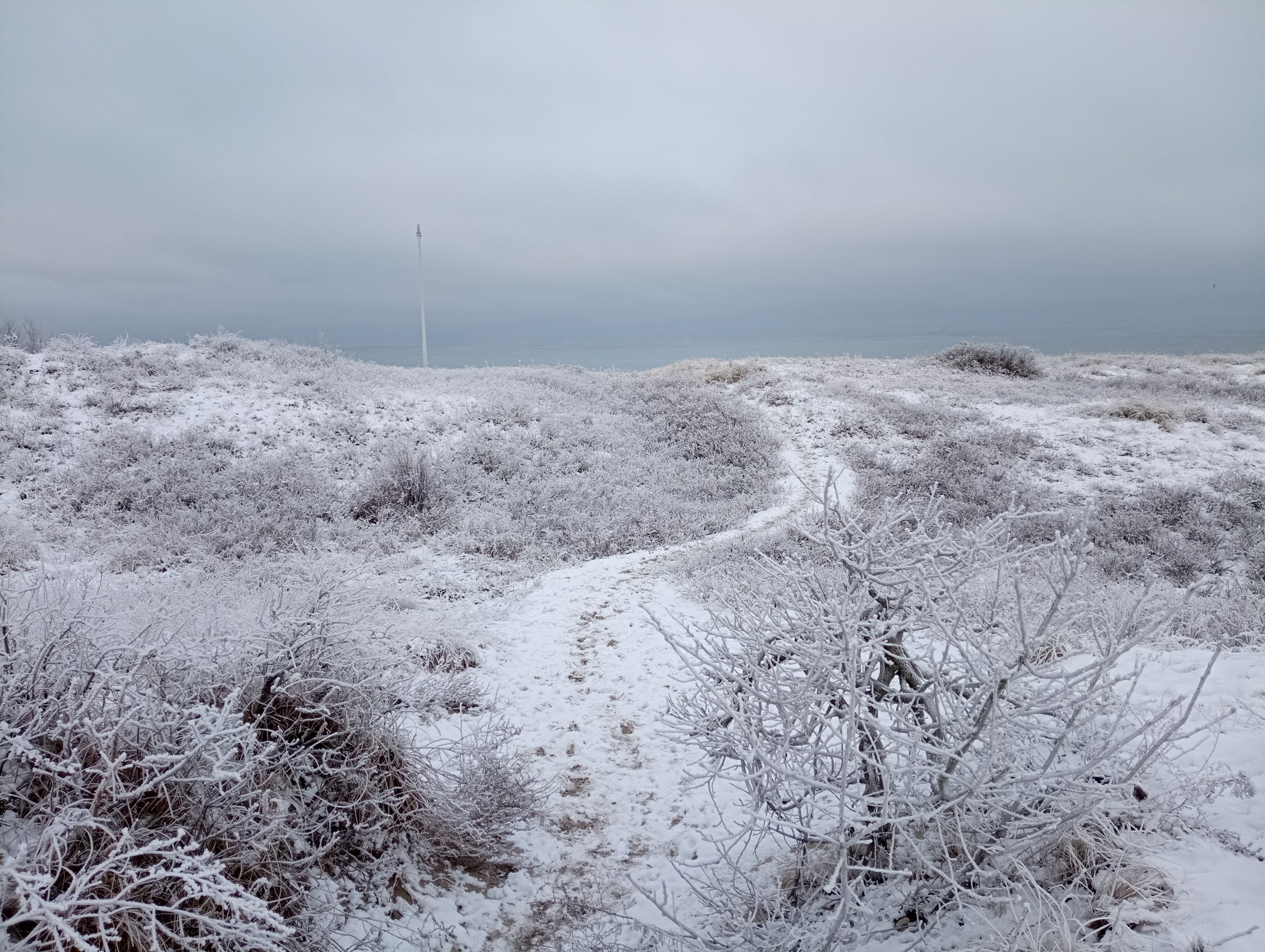 Фото Апартаменты у моря