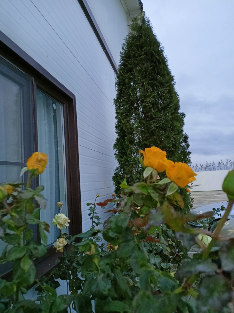 Фото Анастасиевская