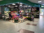 Зеленый (mikrorayon Olimpiyskiy, 63), flower shop