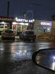 Цветы (Chkalova Street, 82/1) ، محل زهور