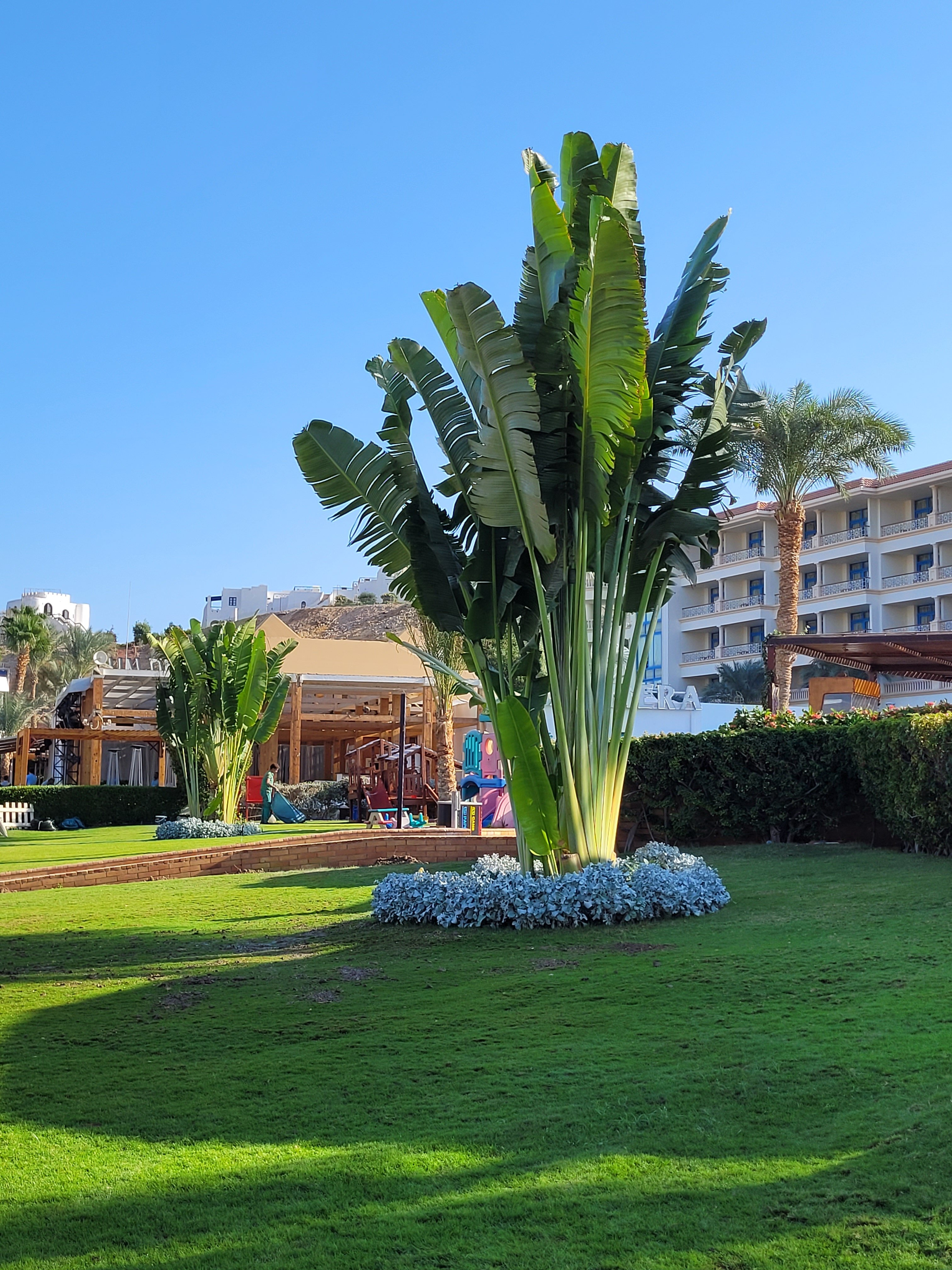 Фото Marina Sharm Hotel