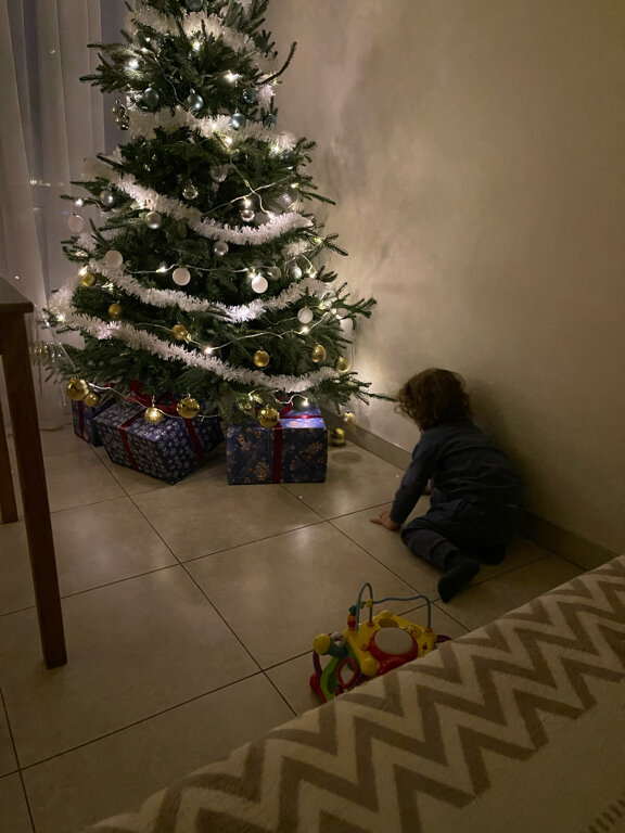 Фото Green Elephant