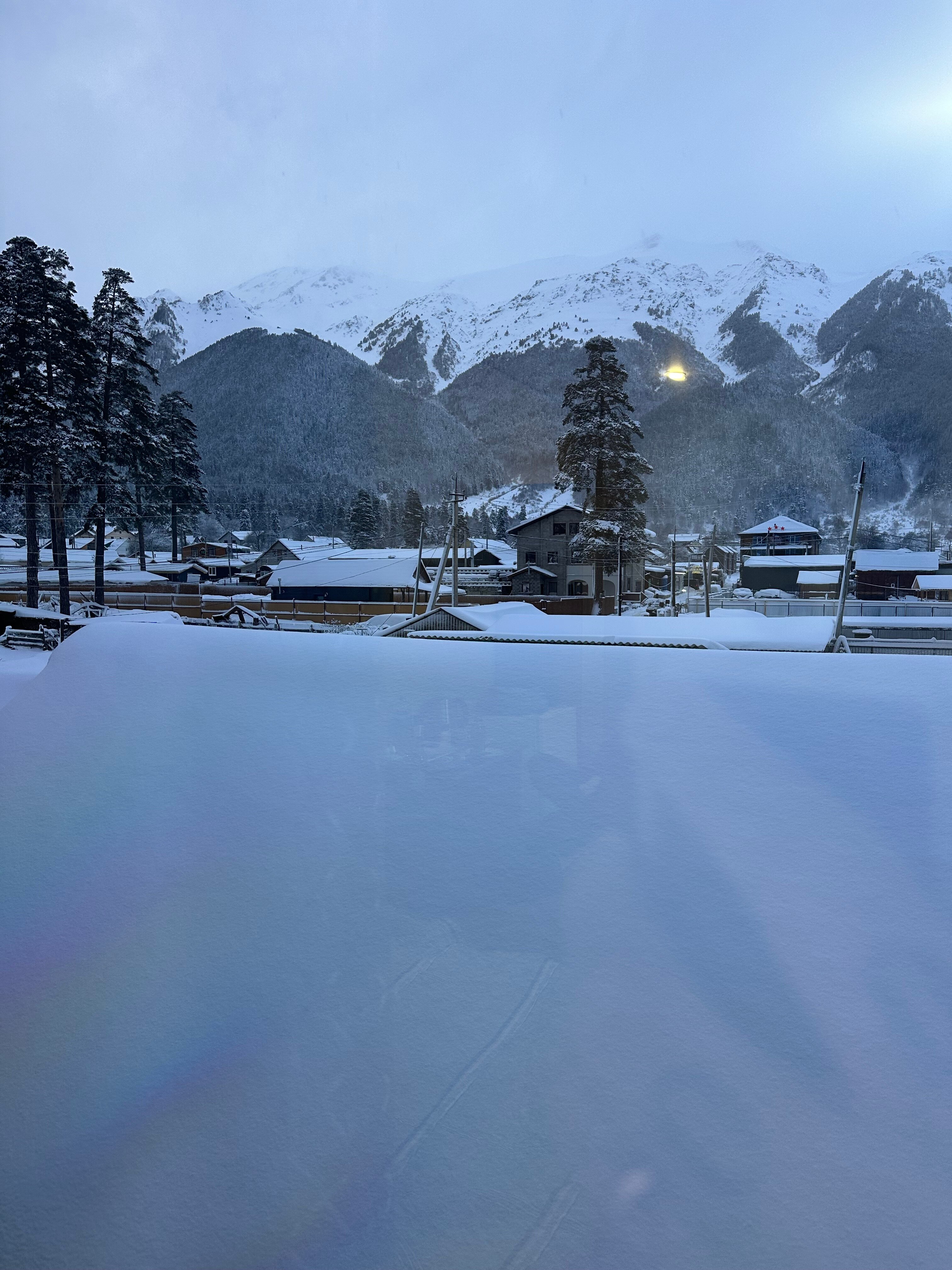 Фото Фаворит