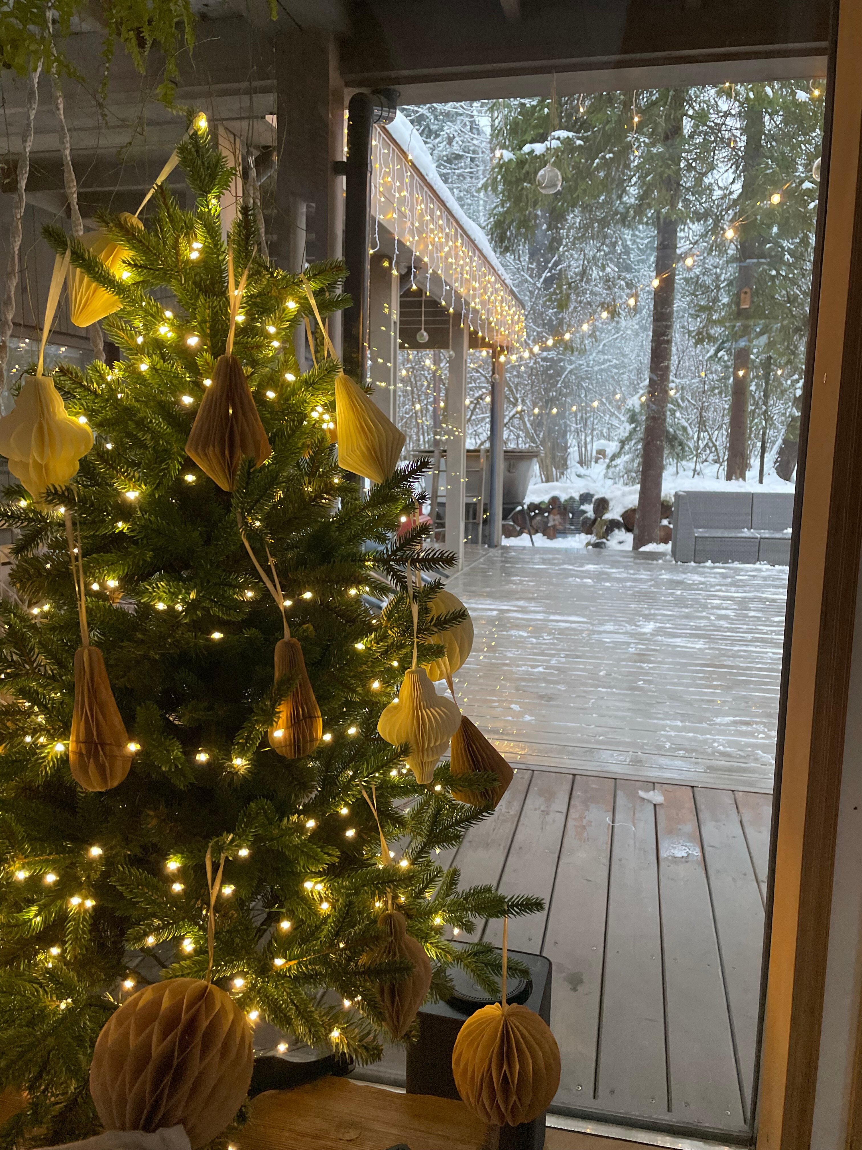 Фото Lesnitsyno_dacha