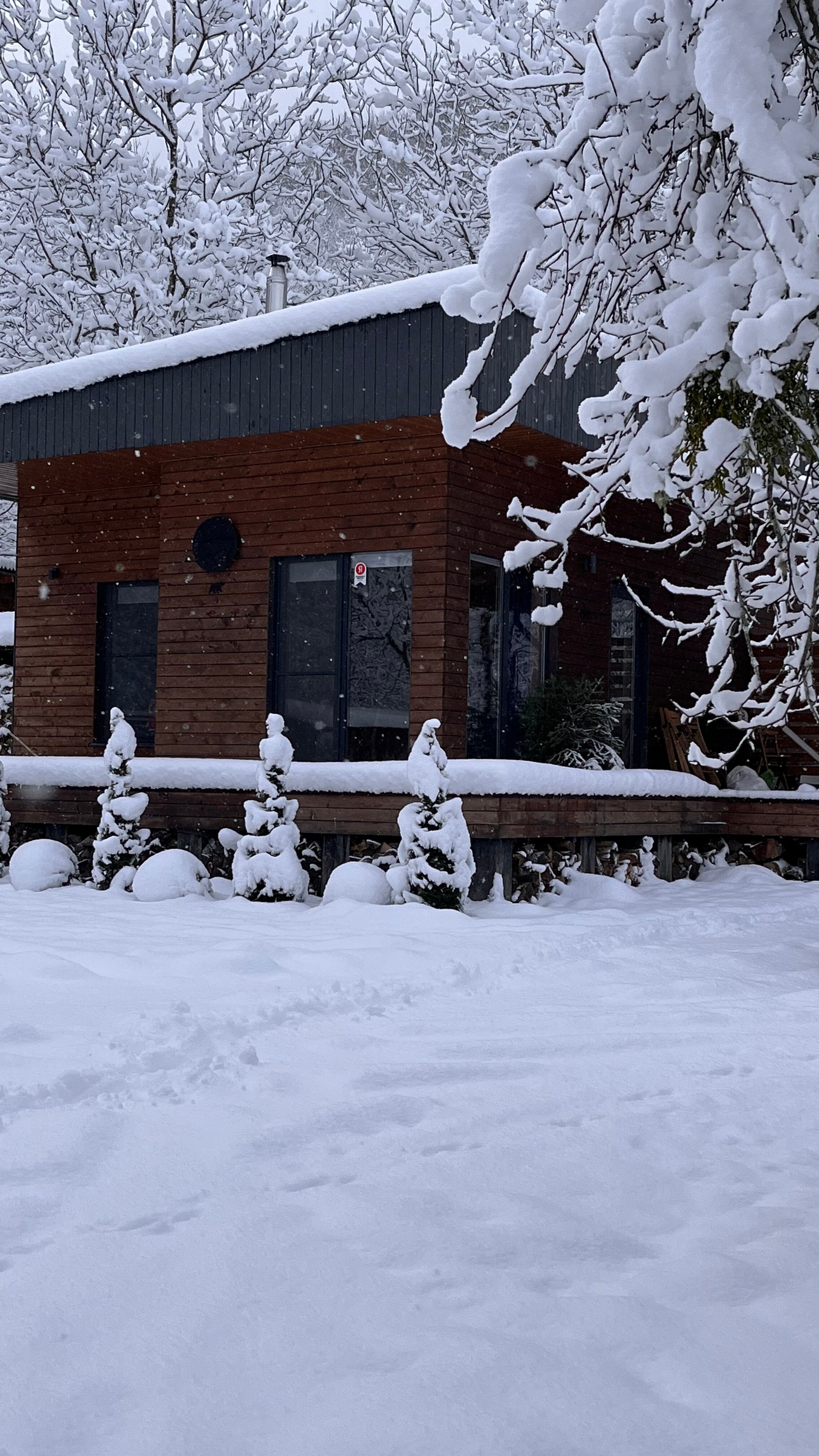 Фото Scandi-naki