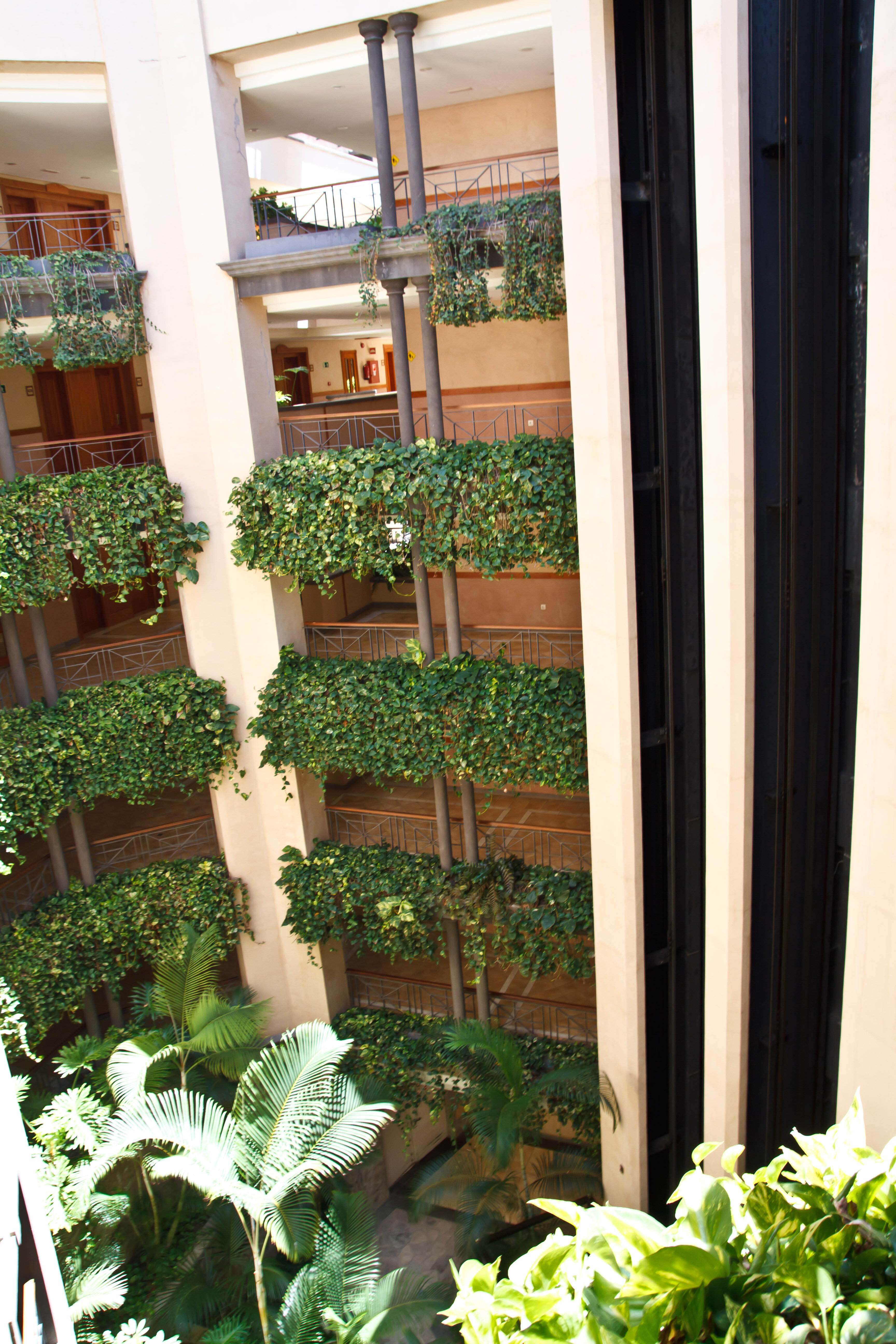 Фото Gf Gran Costa Adeje