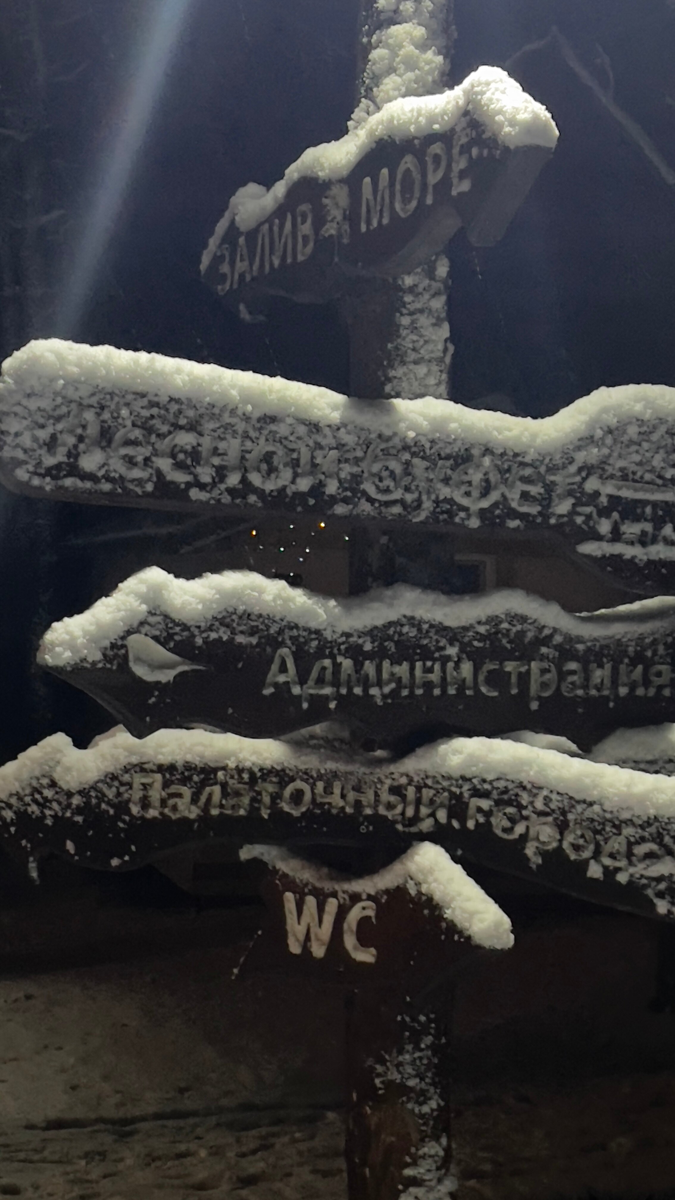 Фото Куршале