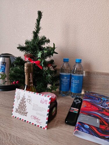 Гостиница Kaunis в Сортавале