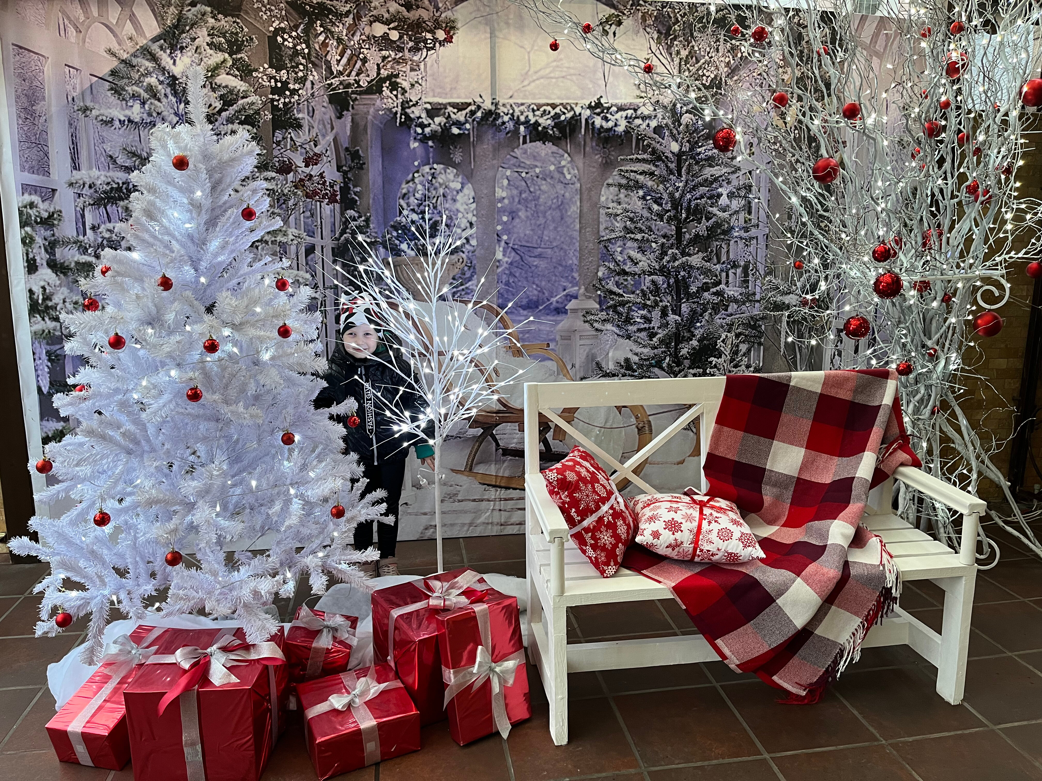 Фото Прованс