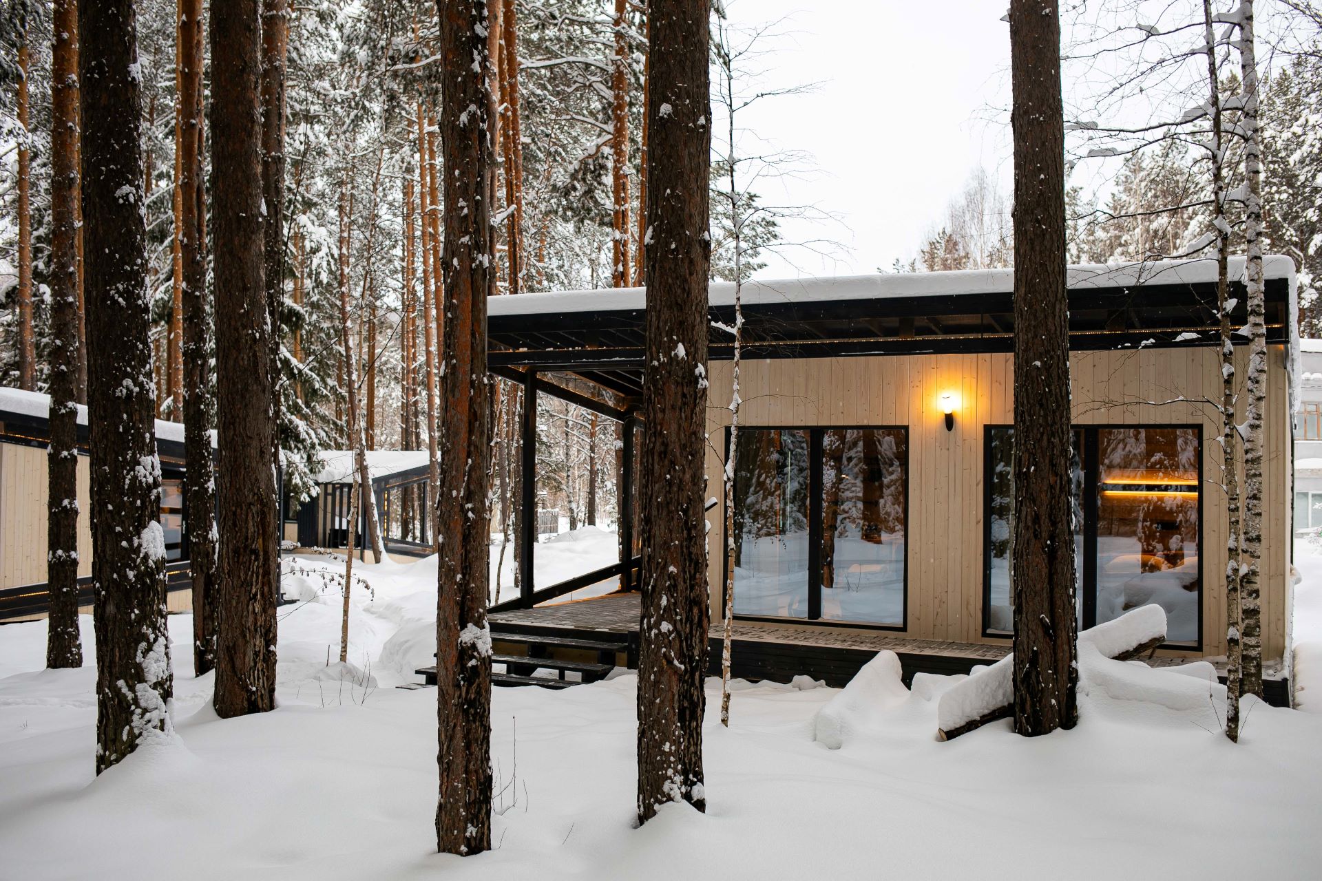 Фото Липкиглэмп