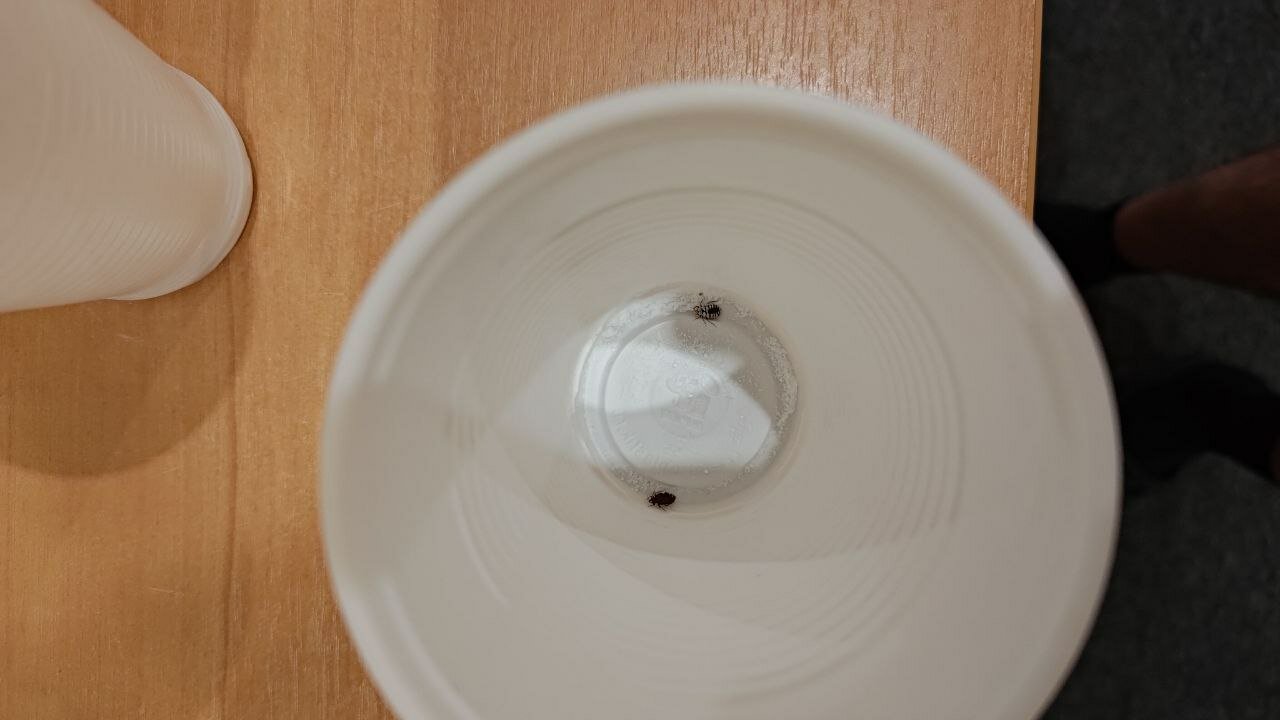 Фото Kirovsk.red