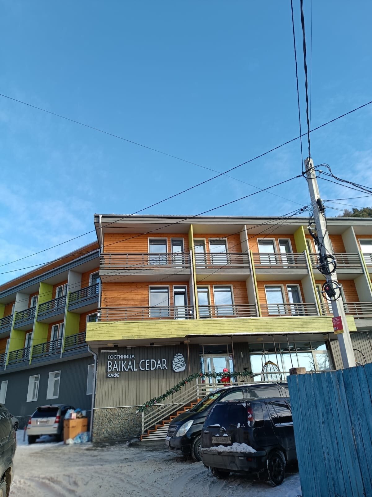 Фото Байкал Кедр