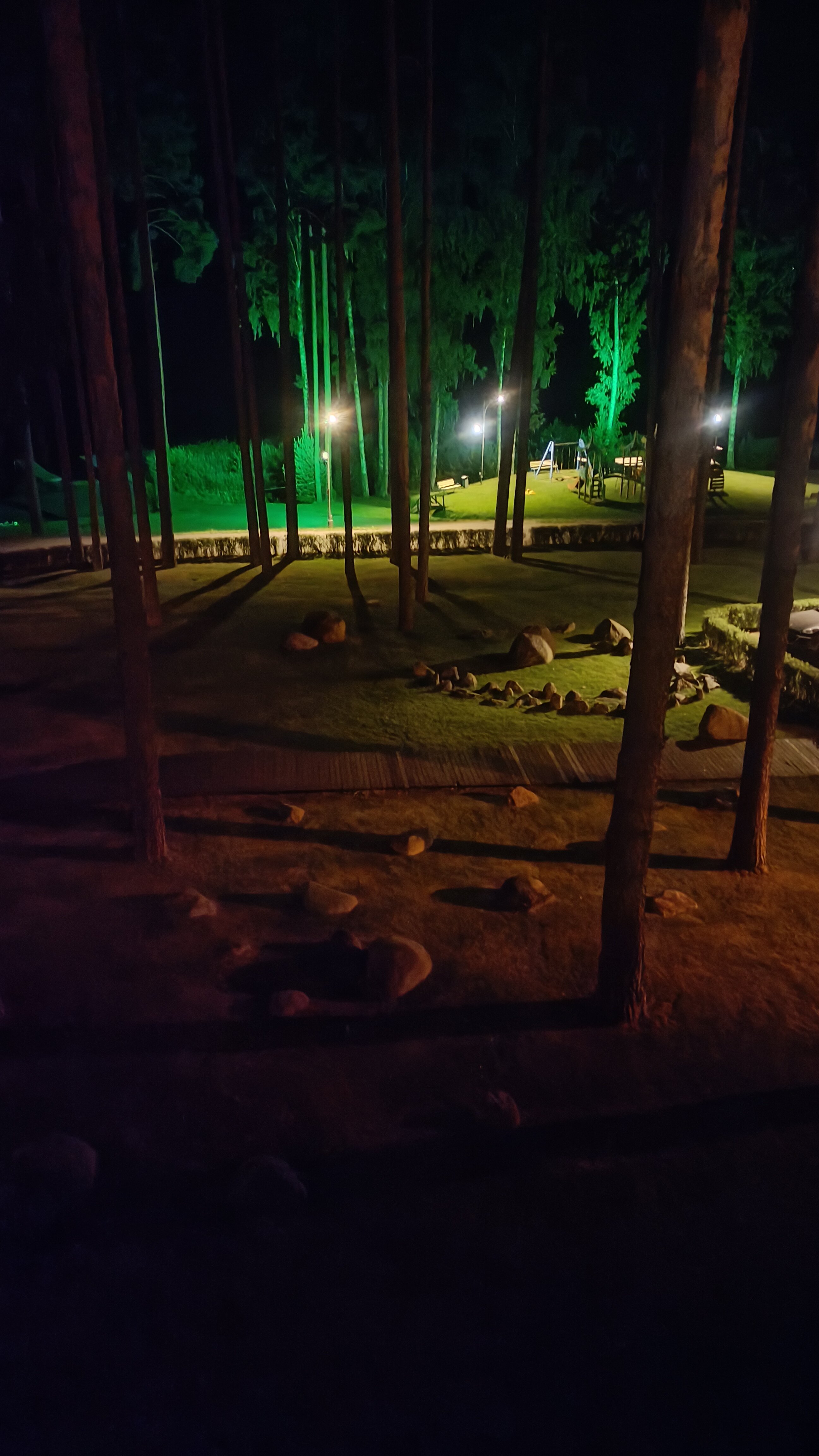 Фото Сильвер