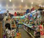Zoomagazin 2 Yorka (Perekupnoy Lane, 6), pet shop