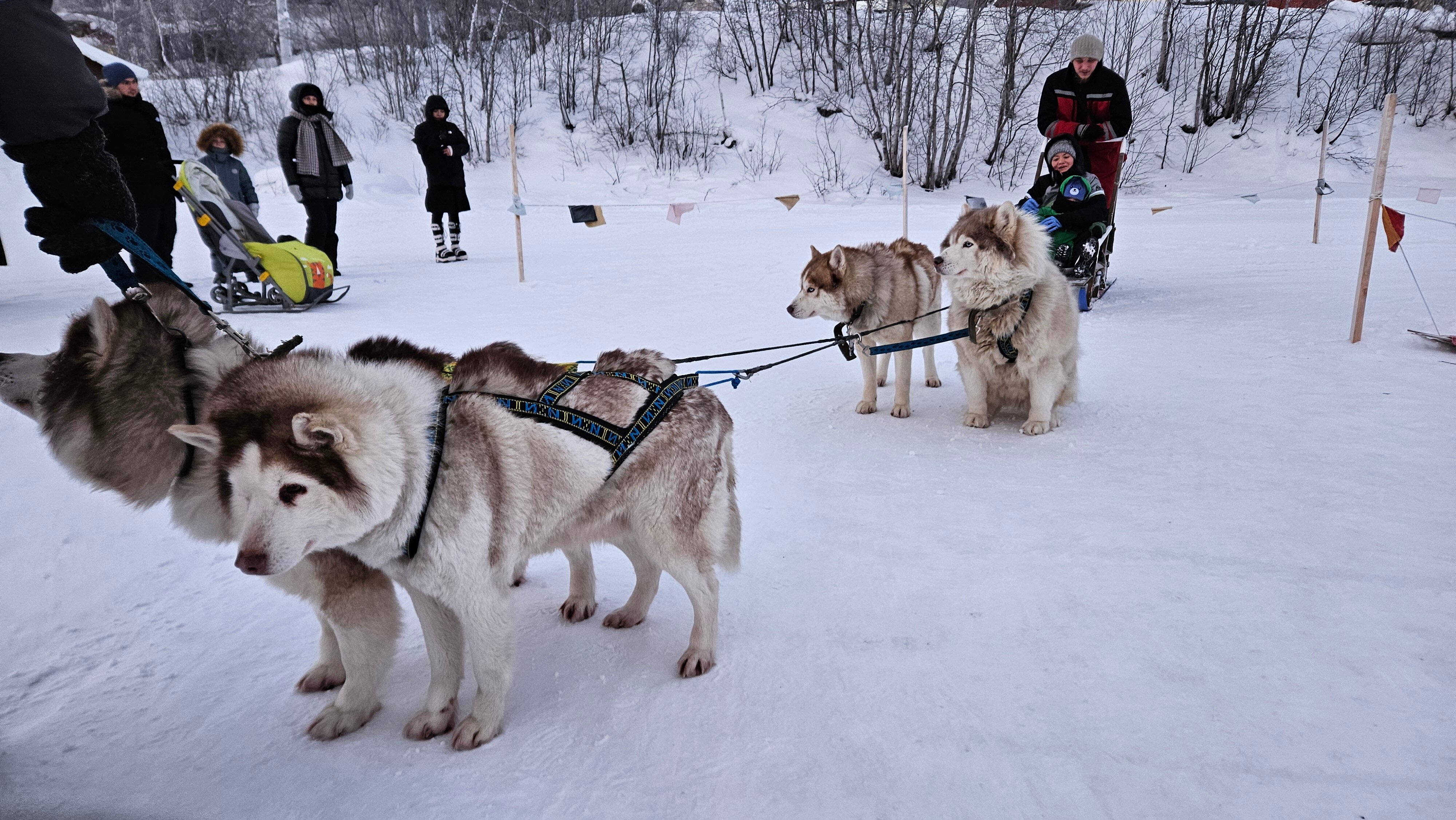Фото Огни Мурманска