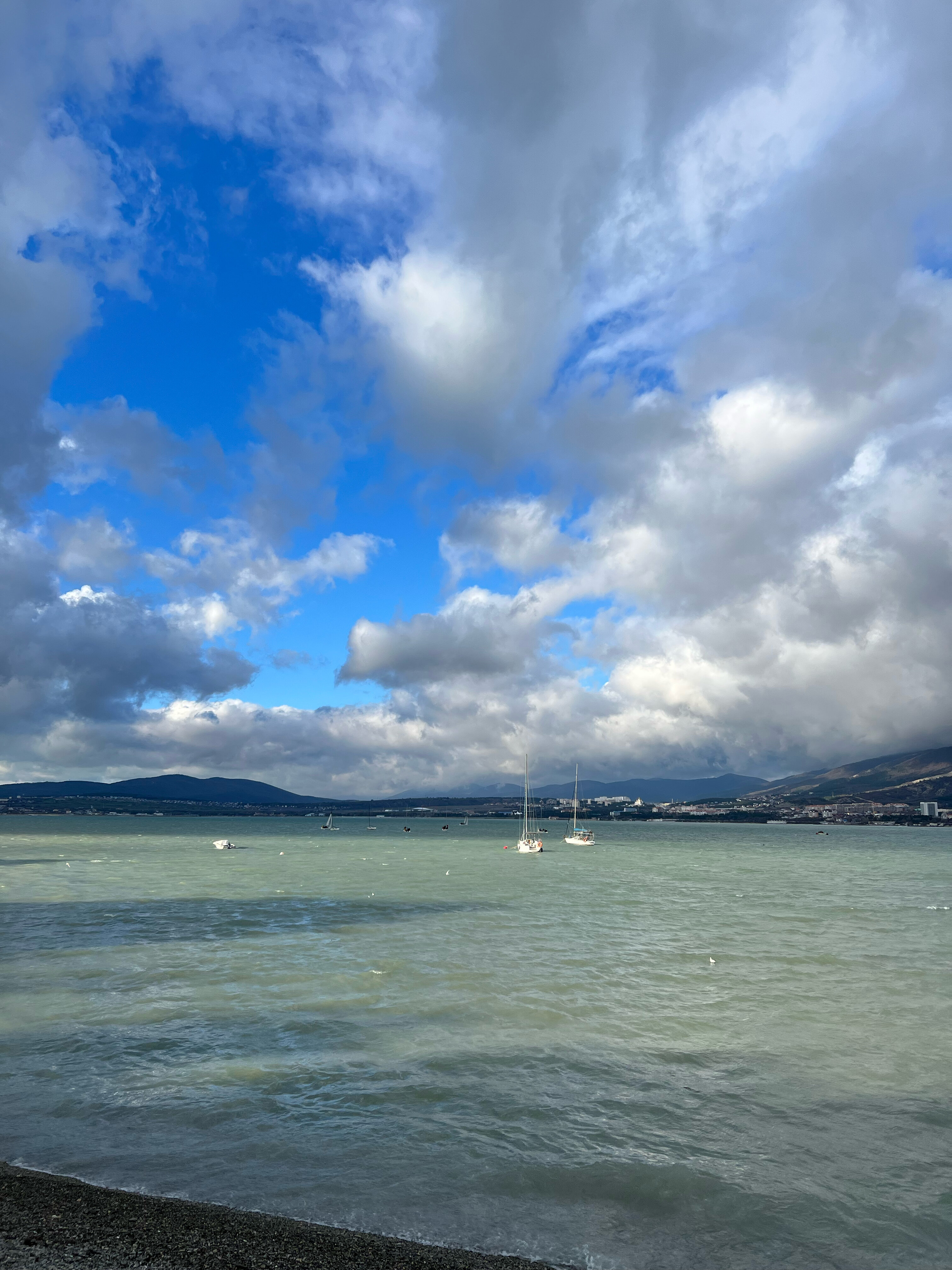 Фото Сосновая дача