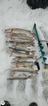 Рыбачок (Mozhayskoye shosse, 240), fishing gear and supplies