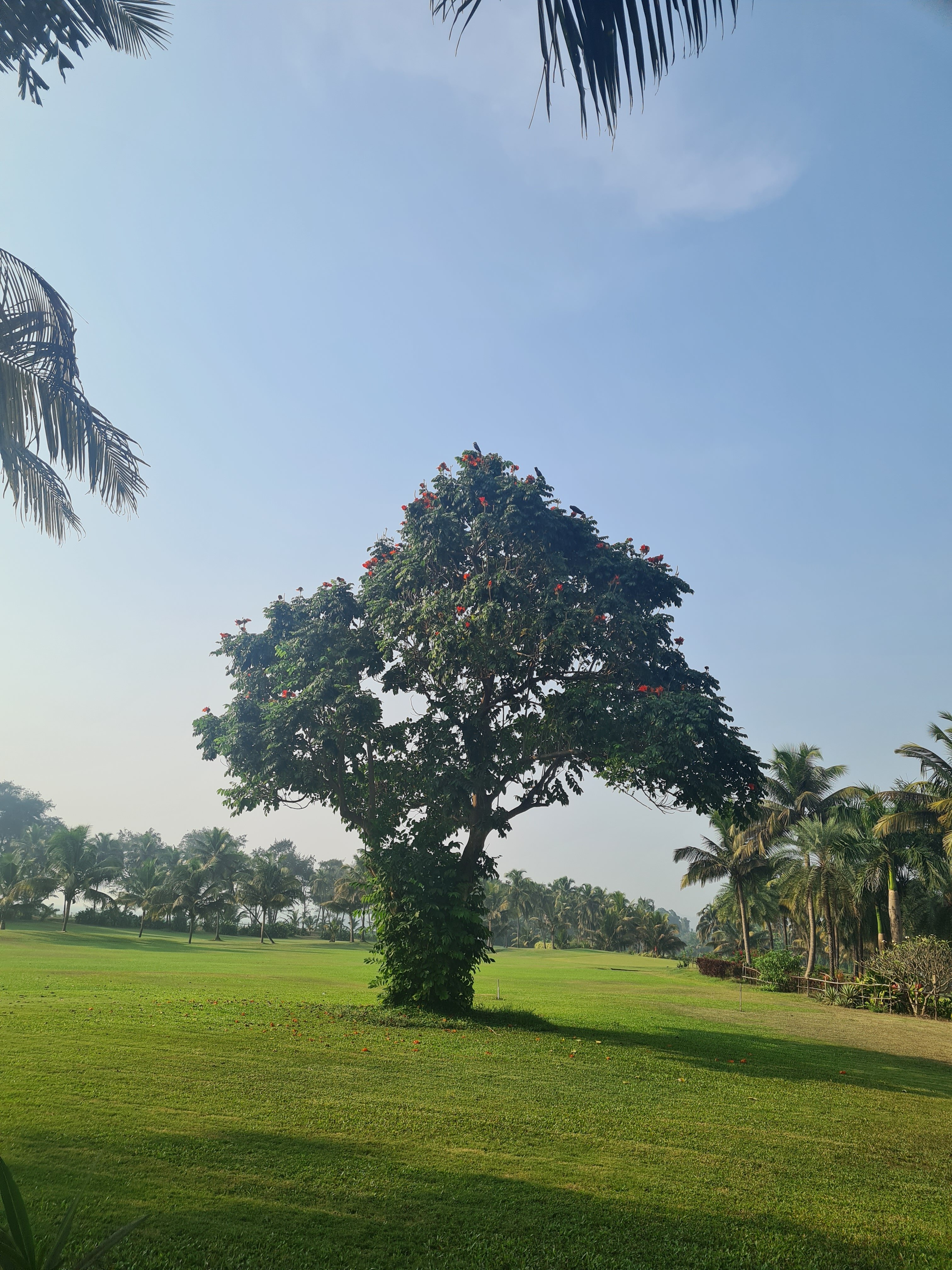 Фото The LaLiT Golf & SPA Resort Goa