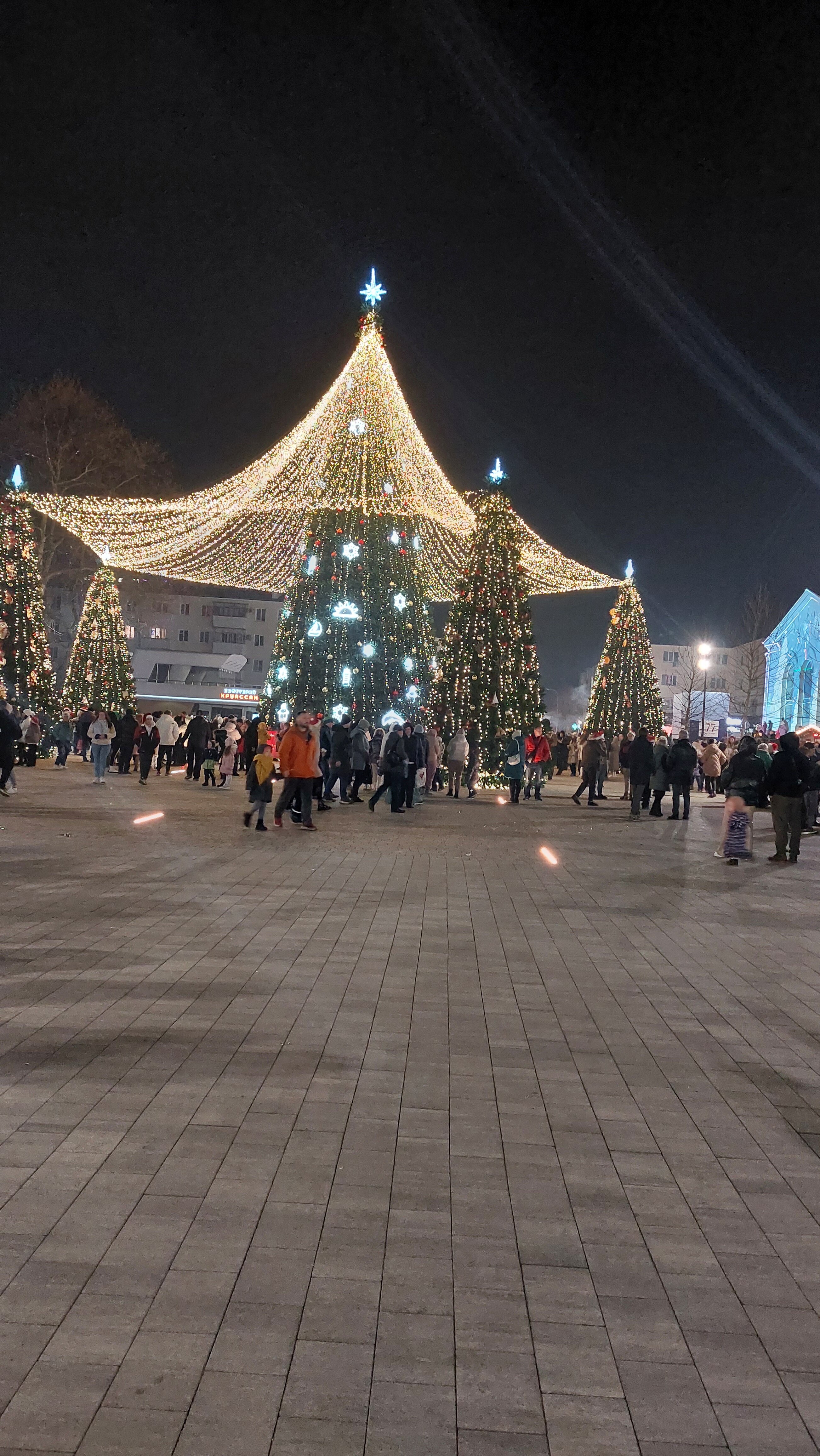 Фото Ванилька