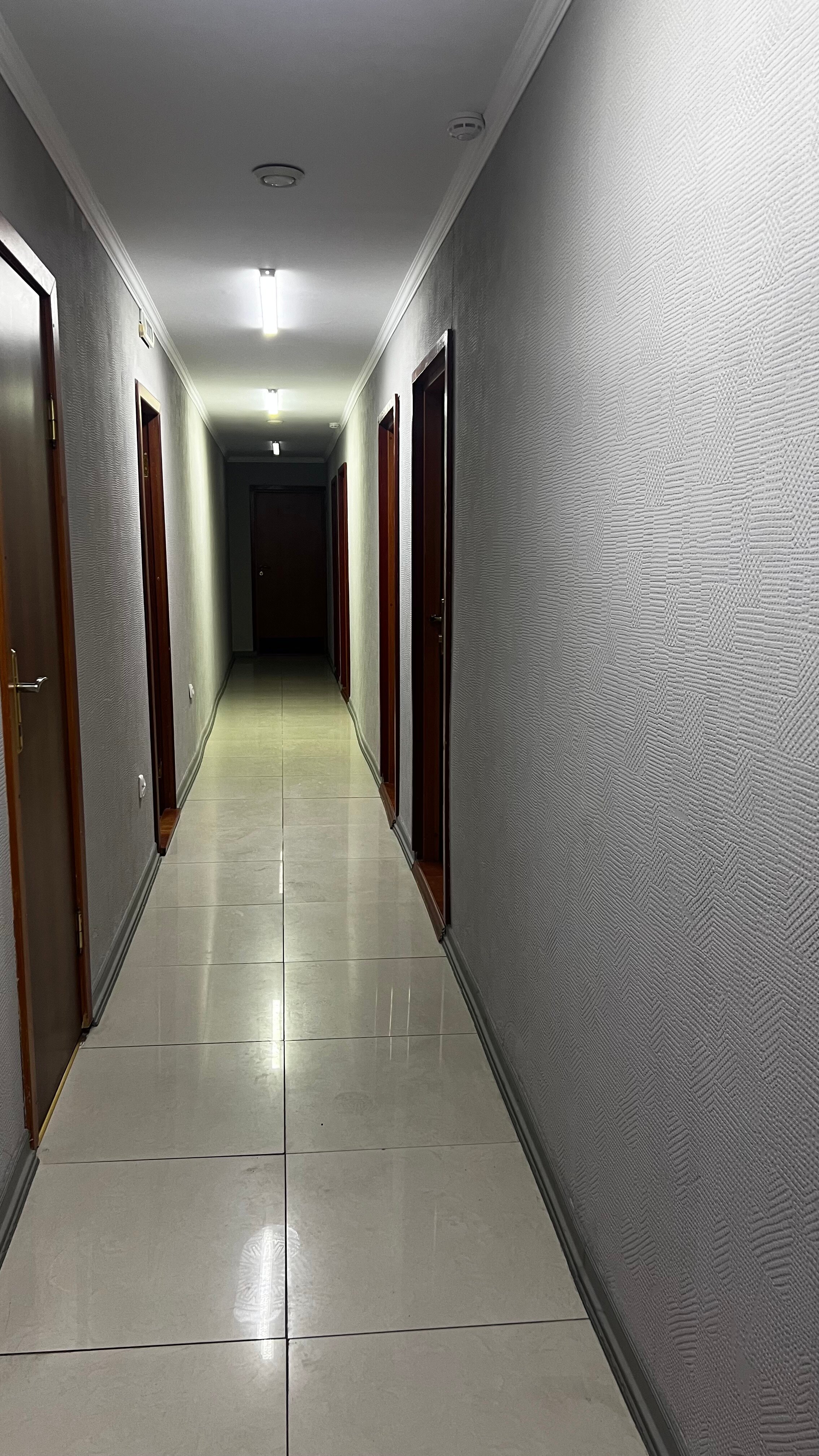 Фото Калина