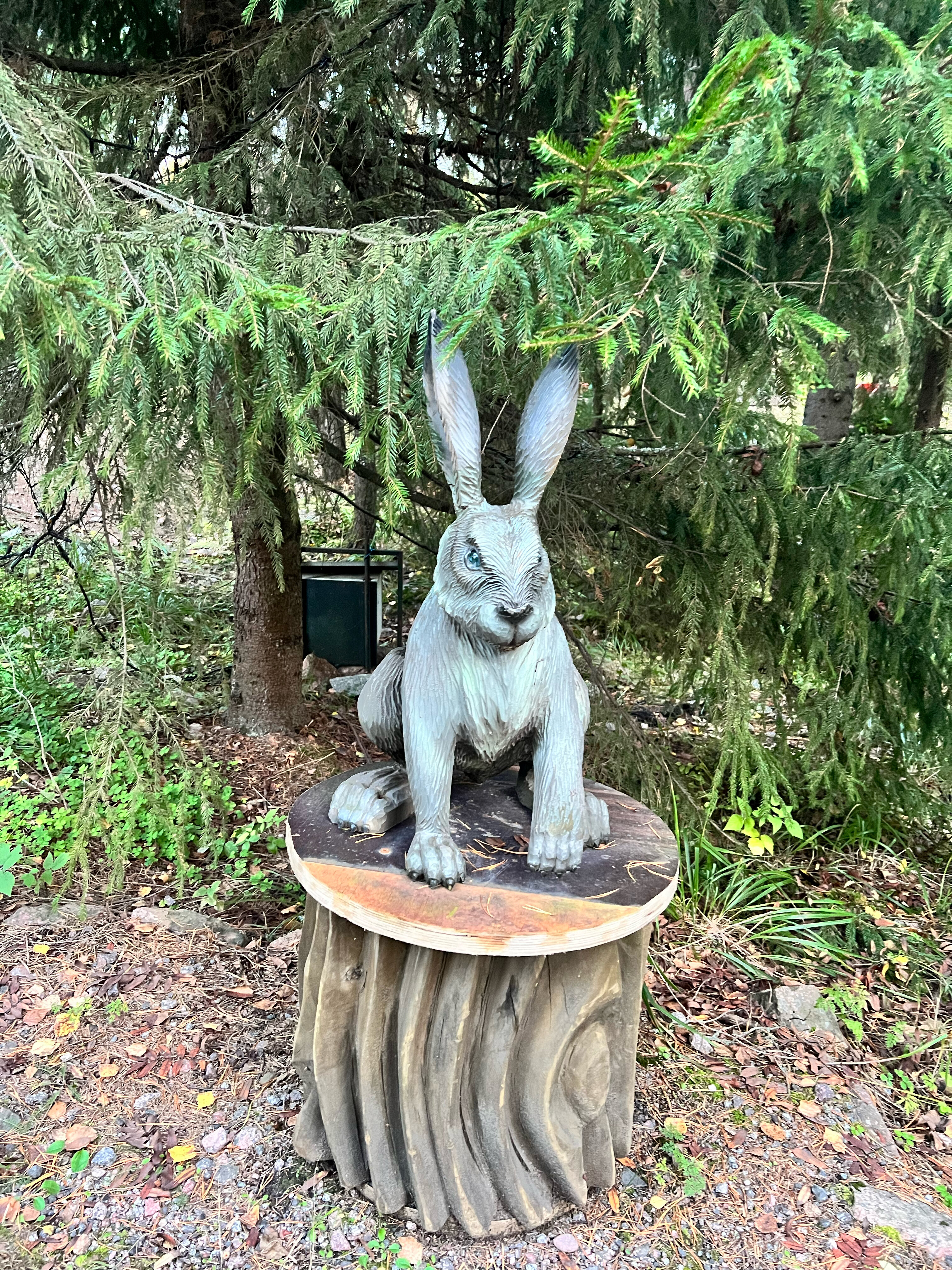 Фото Лесная сказка