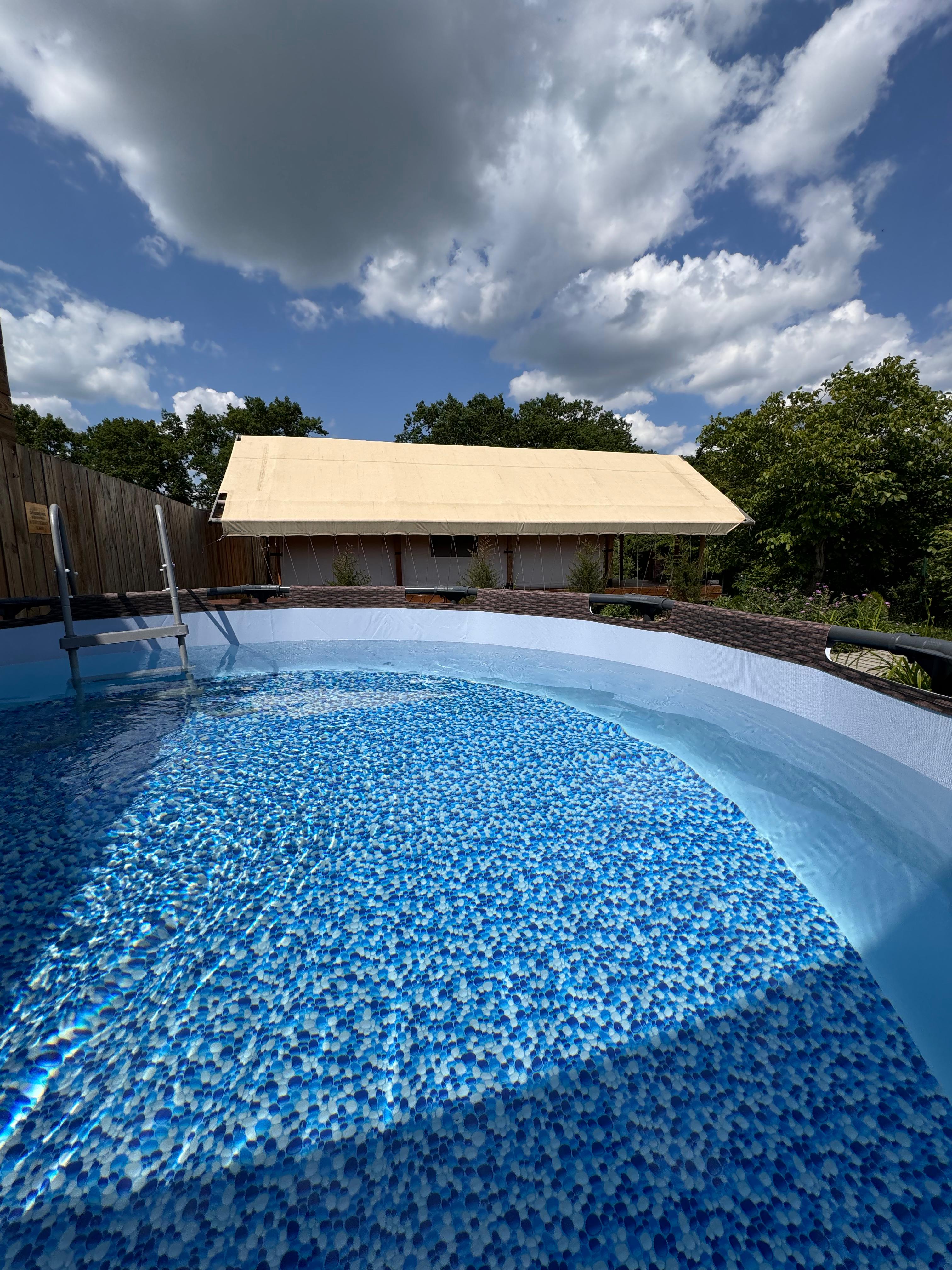 Фото Стрижи