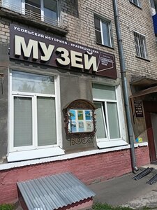 Usolsky Museum of Local History (Usolye-Sibirskoye, Komsomolskiy prospekt, 79) ، متحف