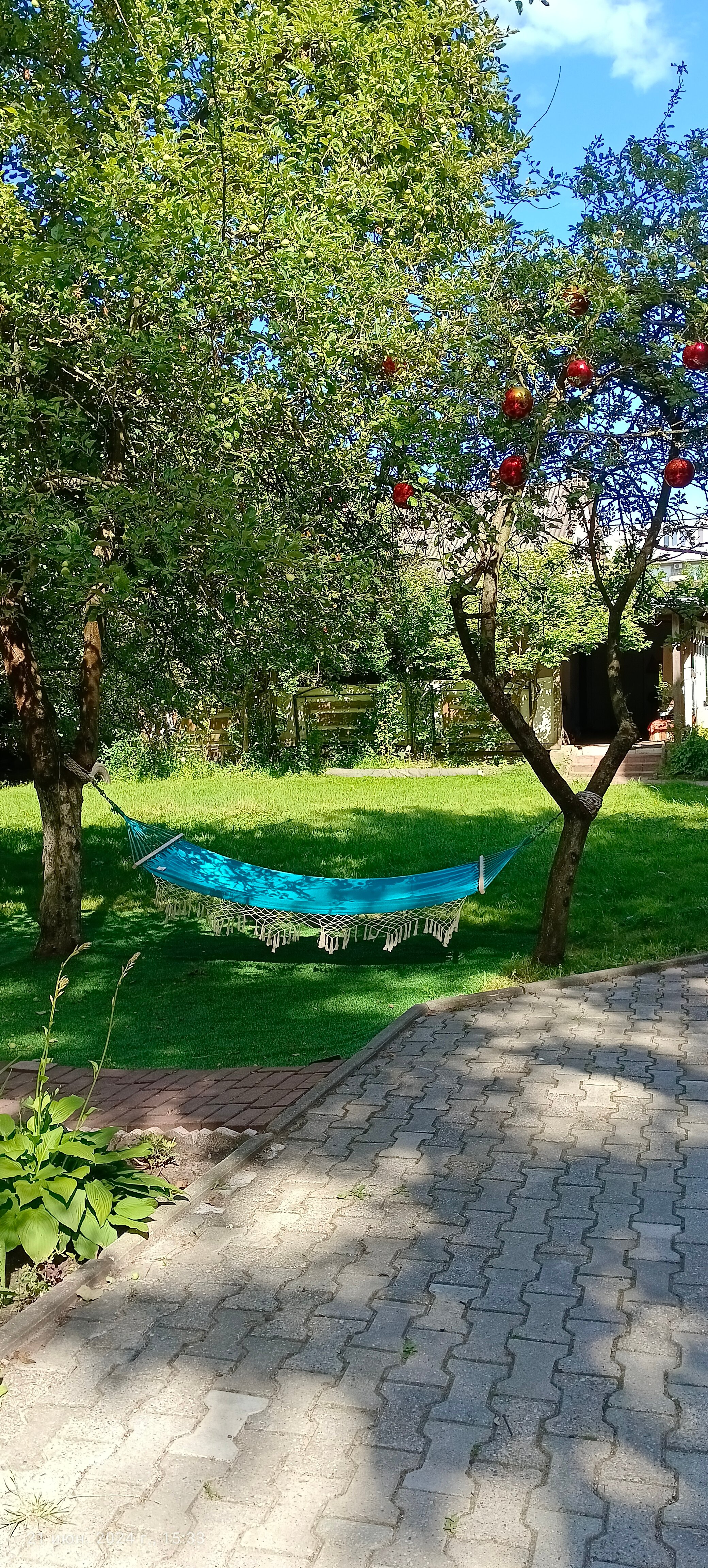 Фото Гестия