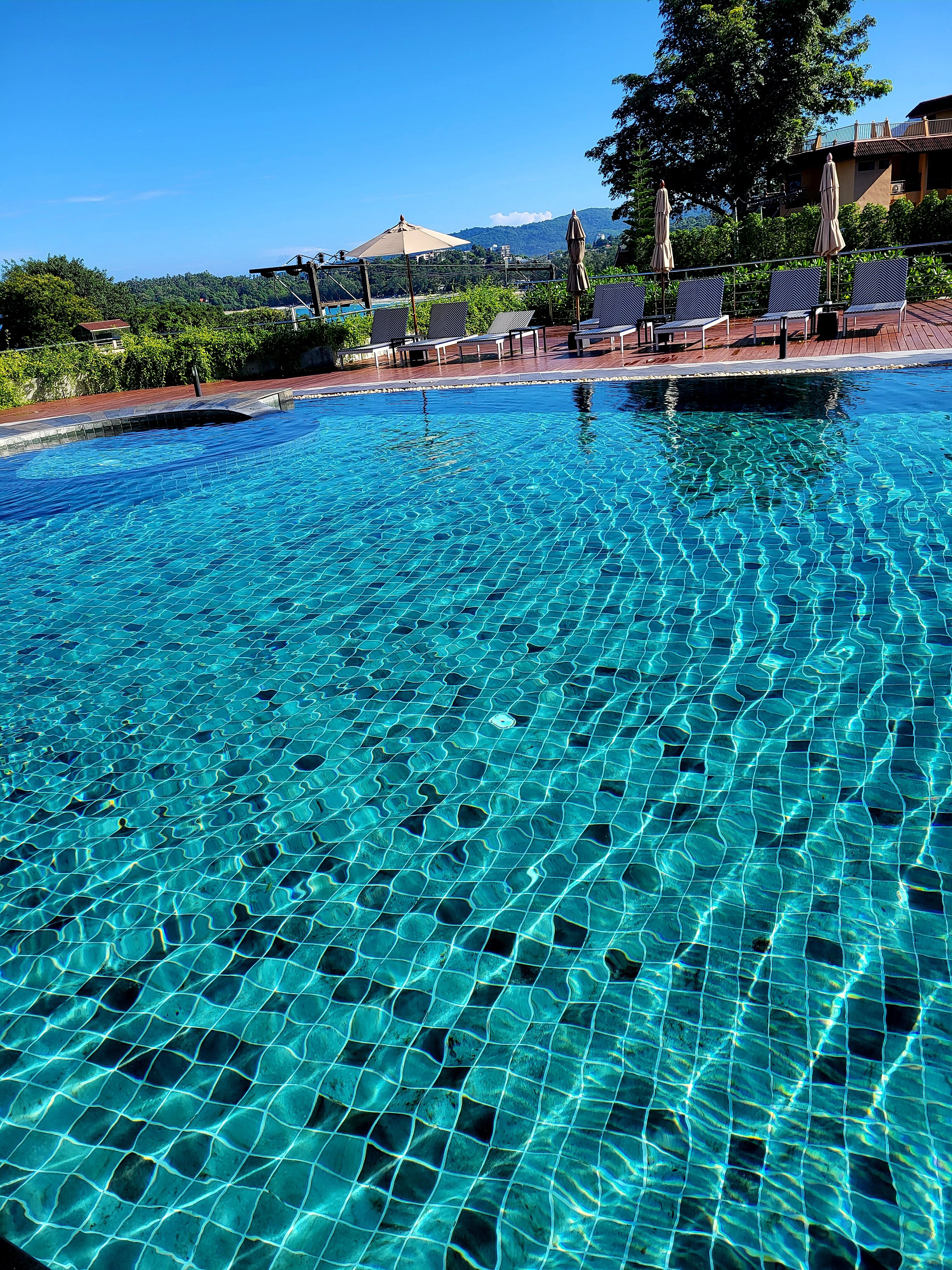 Фото Orchidacea Resort