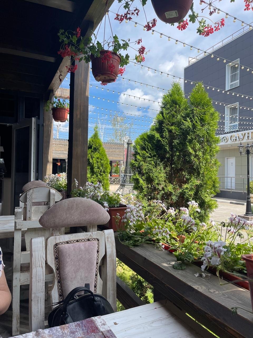 Фото Араз Палас